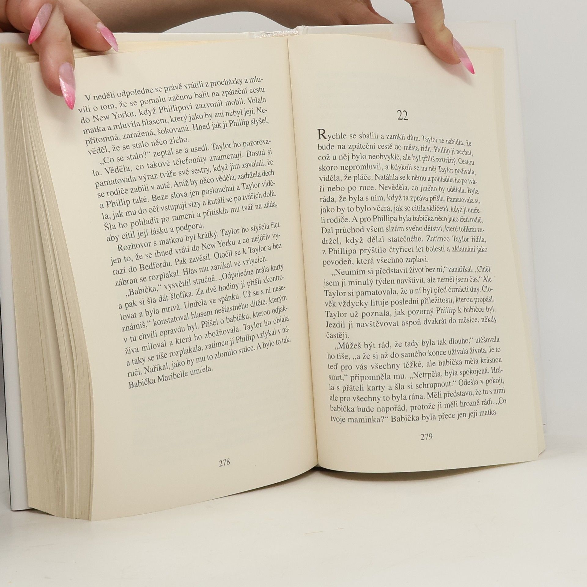 Danielle Steel Všechny matčiny hříchy
