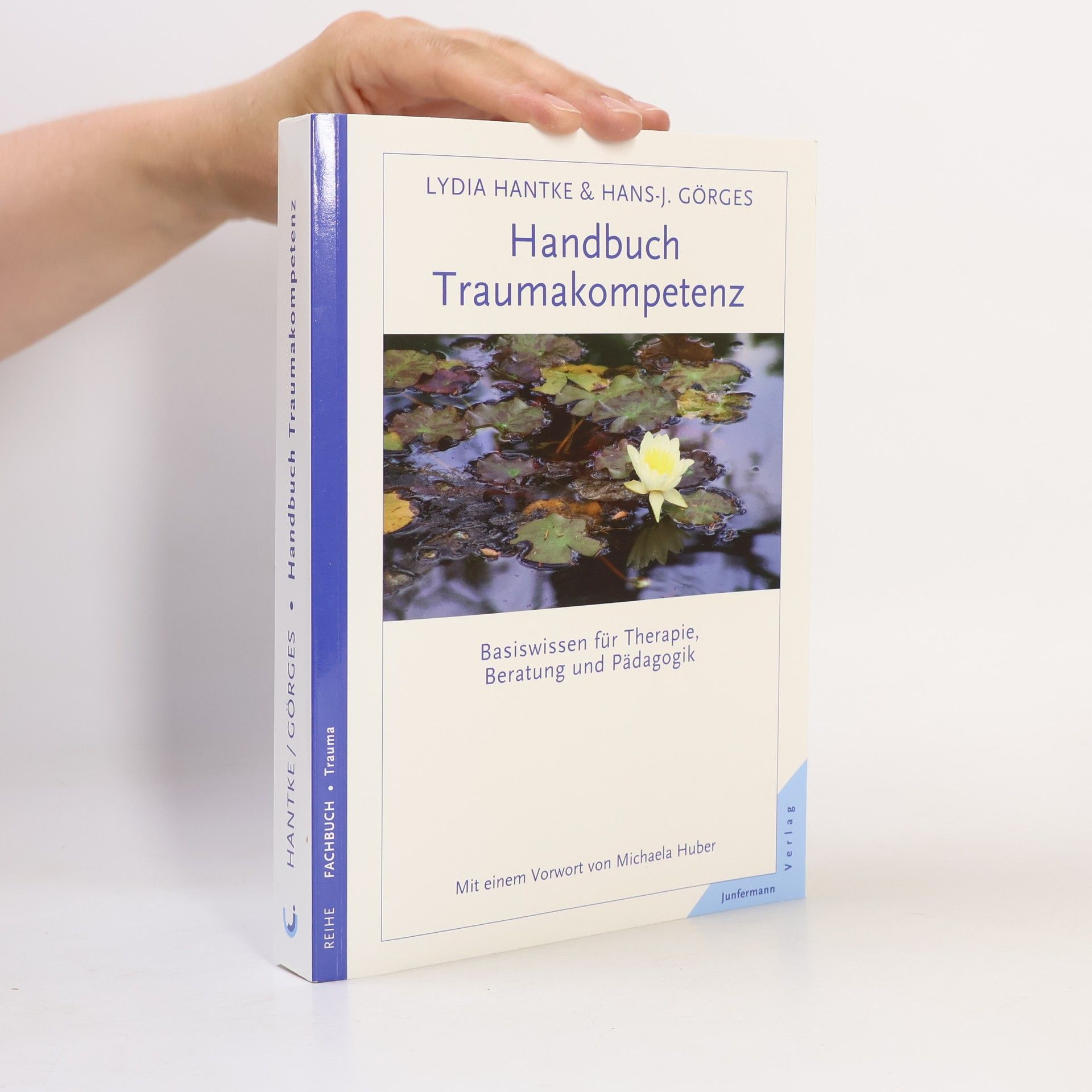 Lydia Hantke Handbuch Traumakompetenz