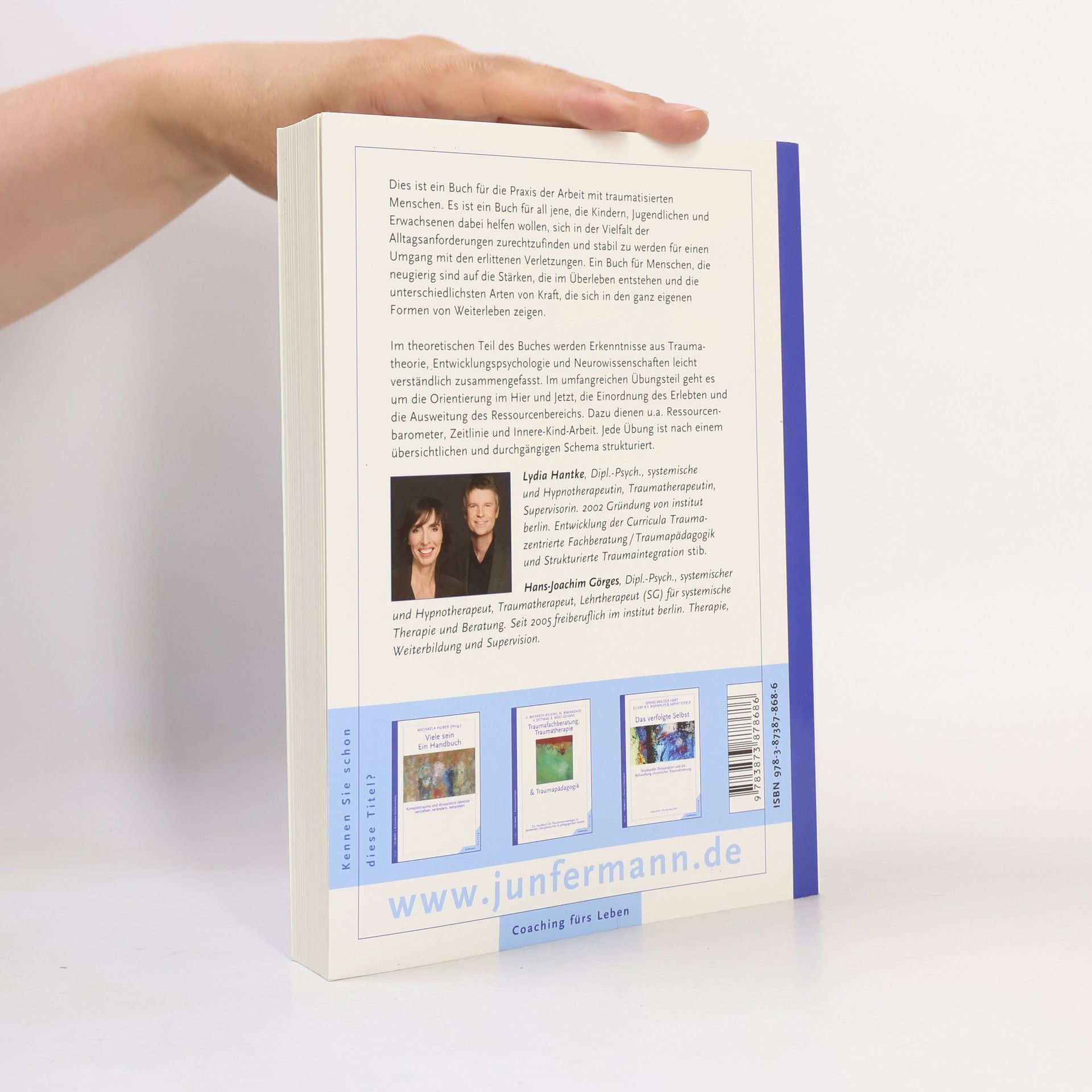 Lydia Hantke Handbuch Traumakompetenz