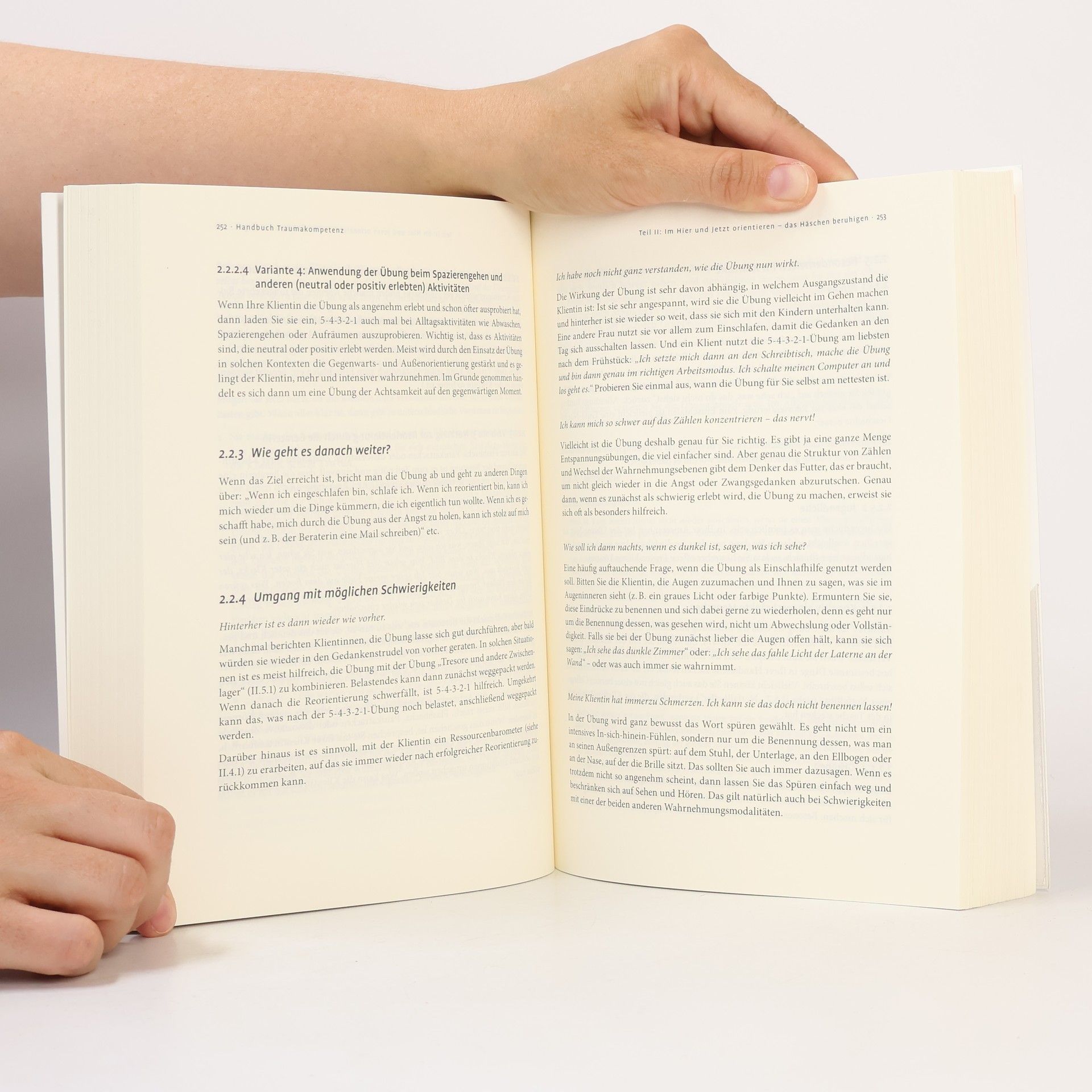 Lydia Hantke Handbuch Traumakompetenz