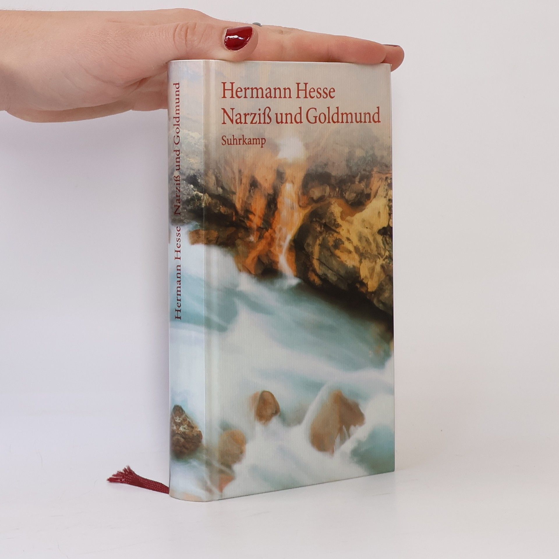 Hermann Hesse Narziß und Goldmund