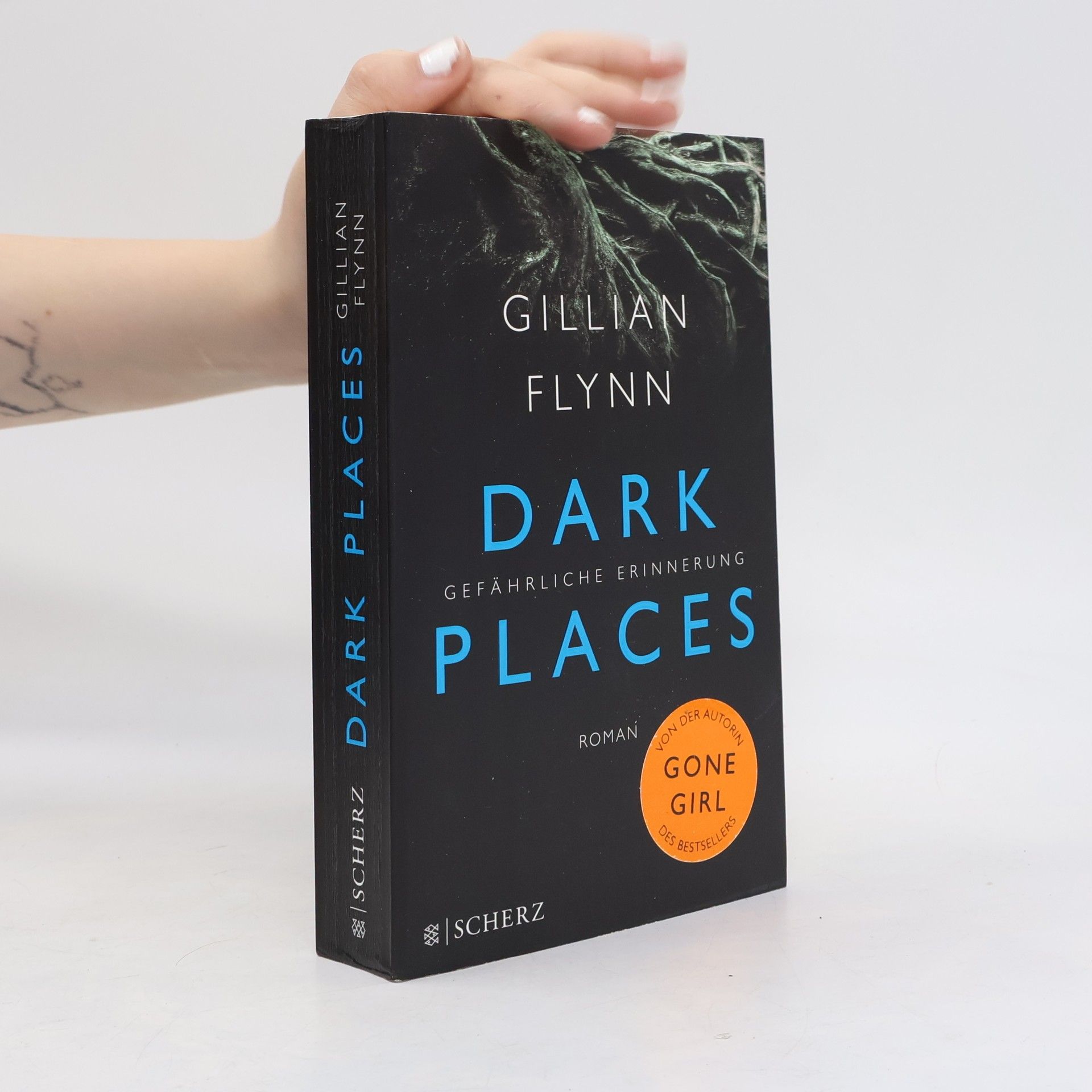 Gillian Flynn Dark places