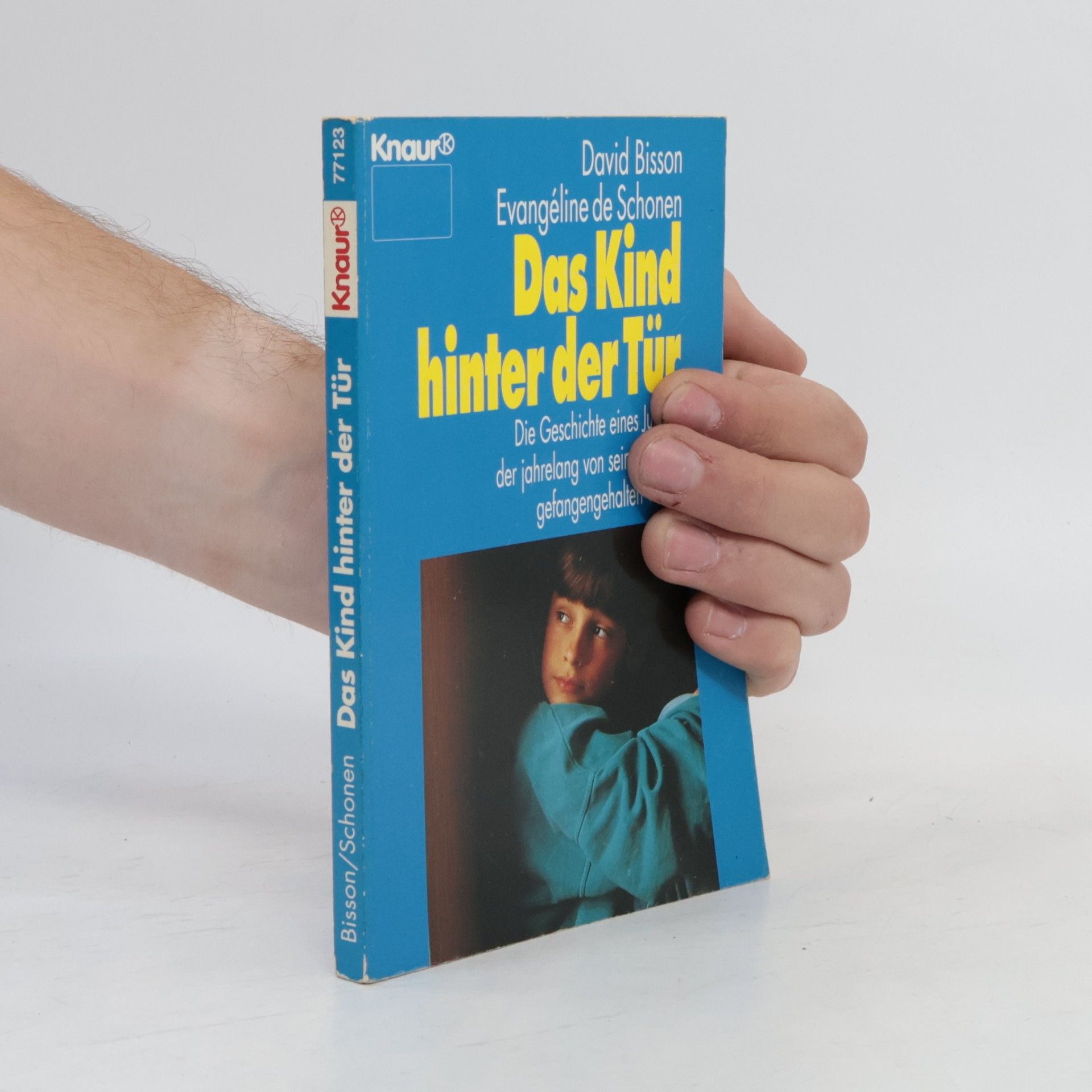 David Bisson Das Kind hinter der Tür
