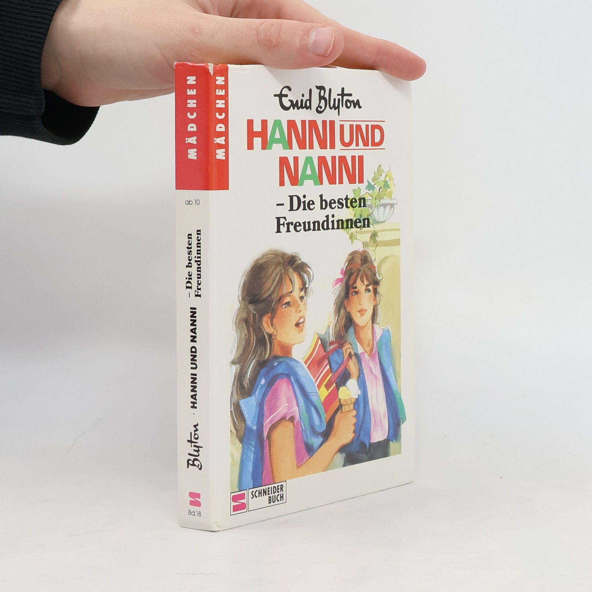 Enid Blyton Hanni und Nanni. Die besten Freundinnen