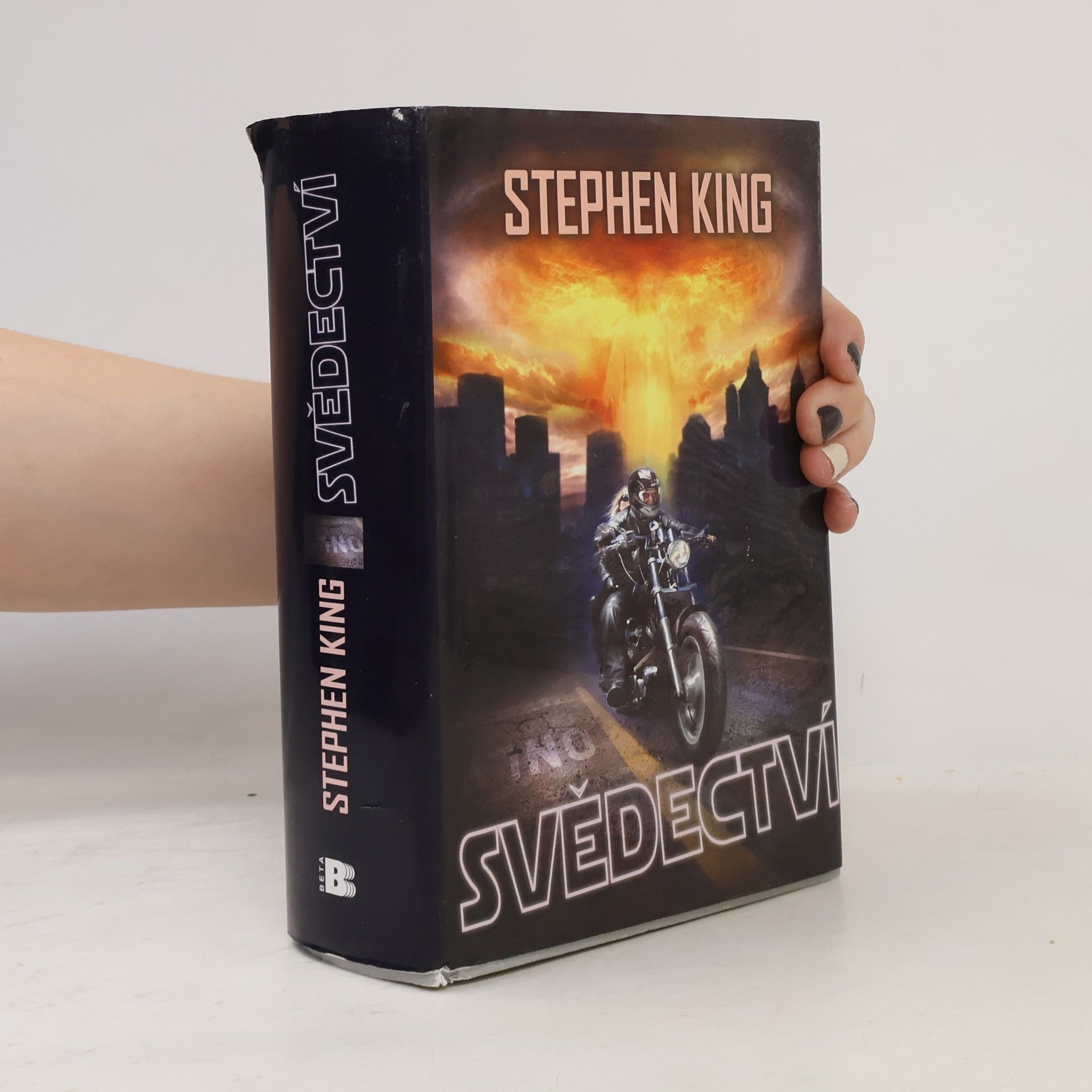 Stephen King Svědectví