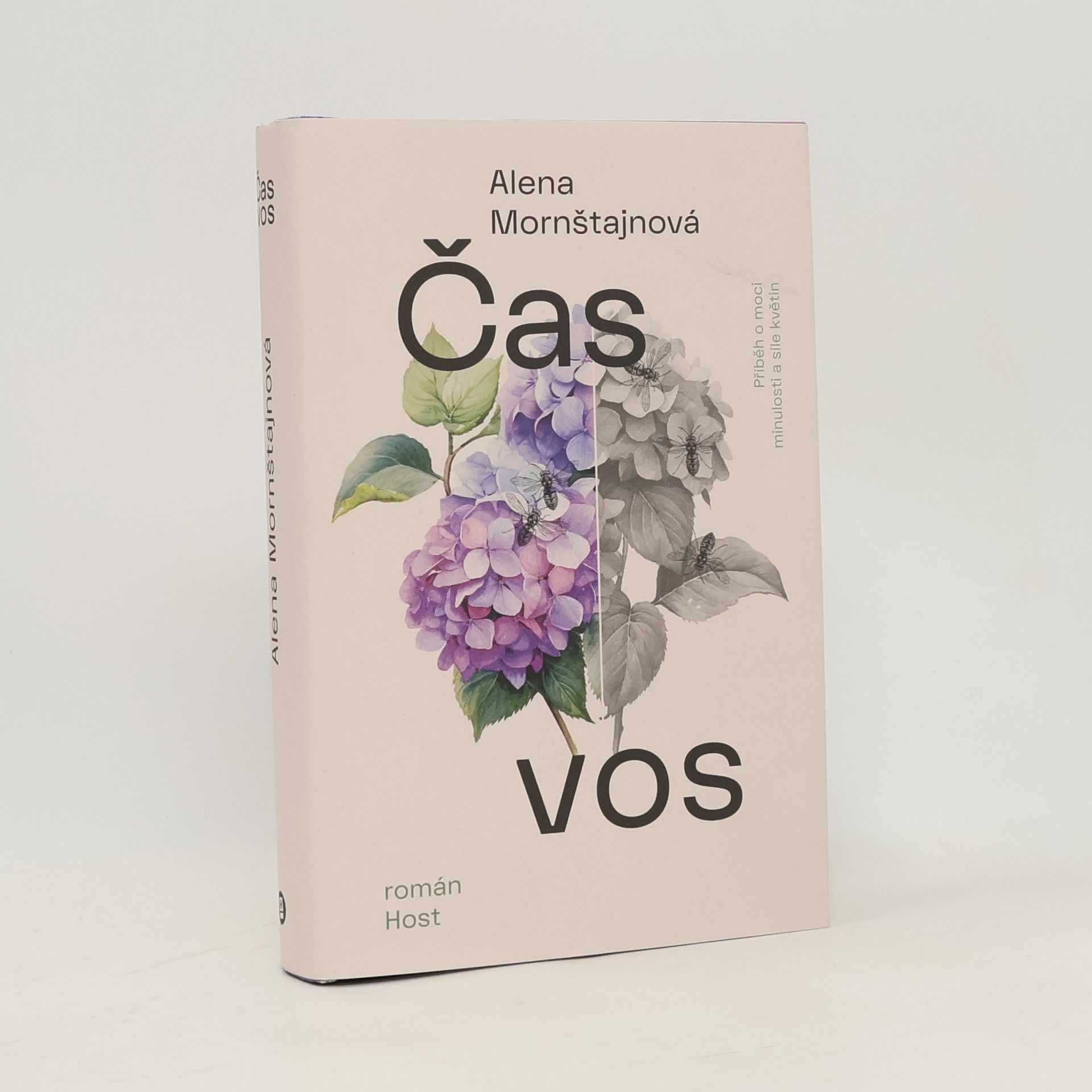 Alena Mornštajnová Čas vos