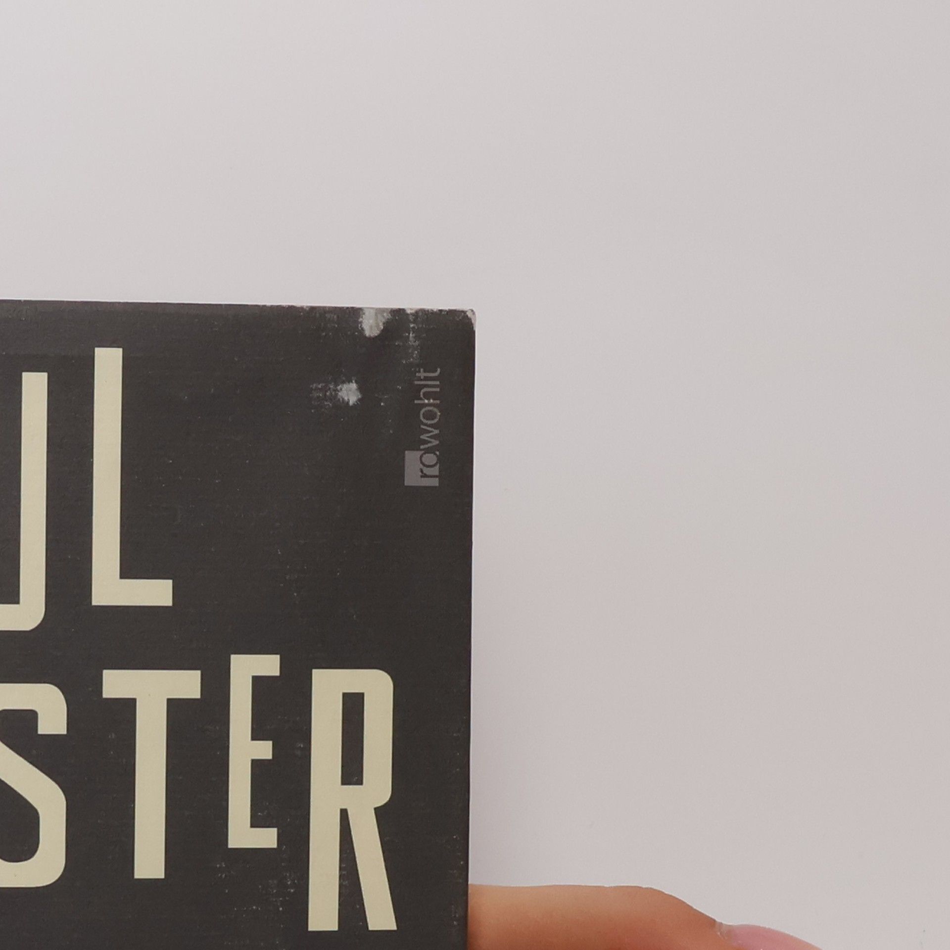 Paul Auster Unsichtbar