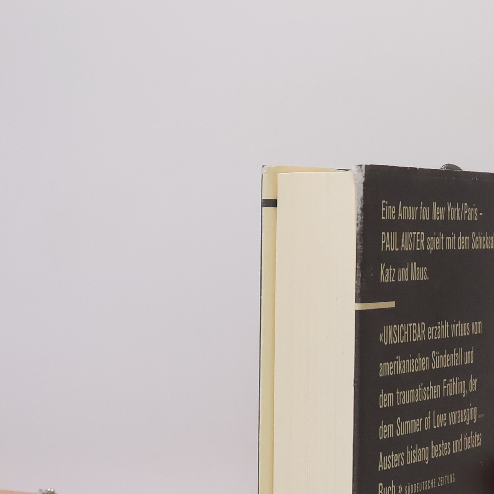 Paul Auster Unsichtbar