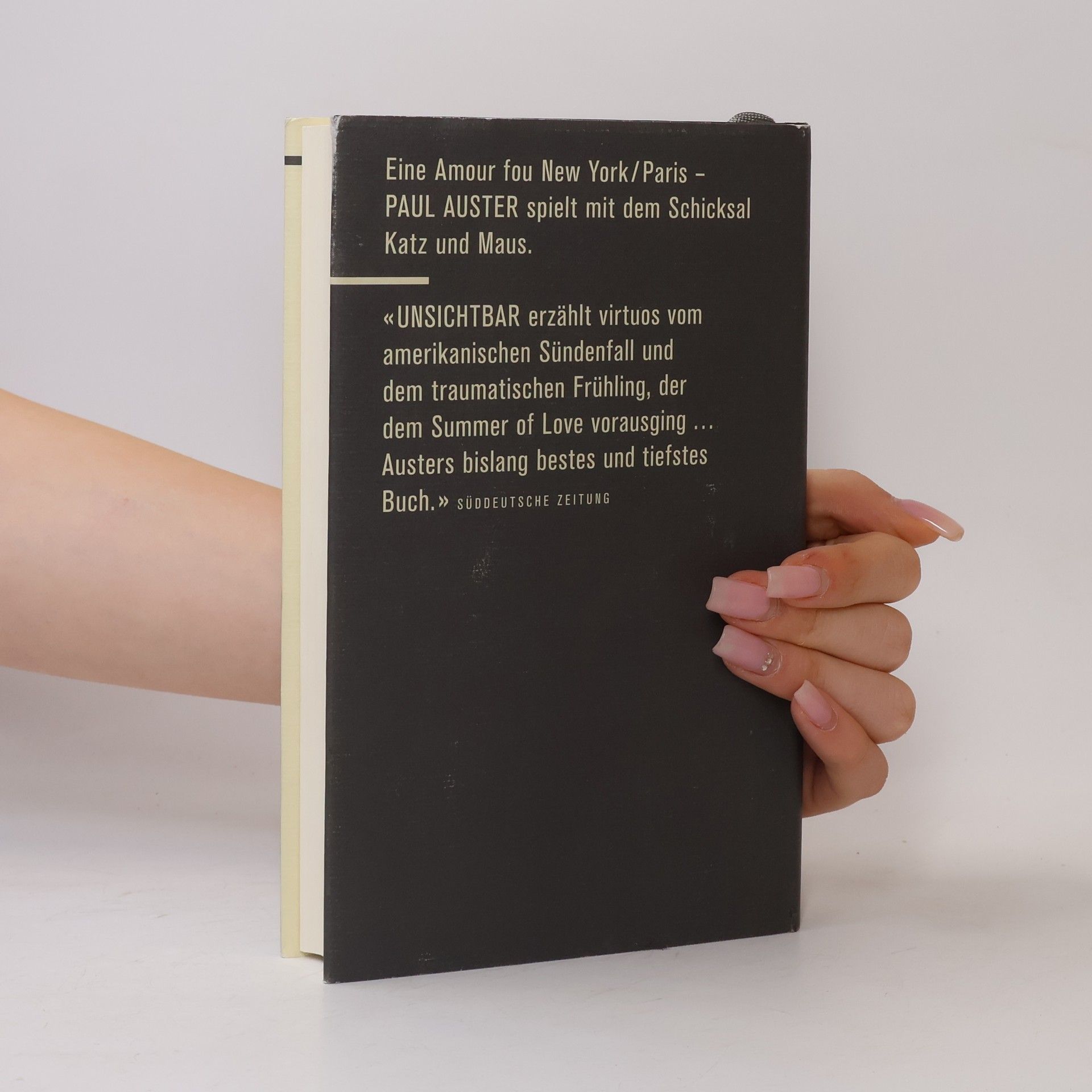 Paul Auster Unsichtbar