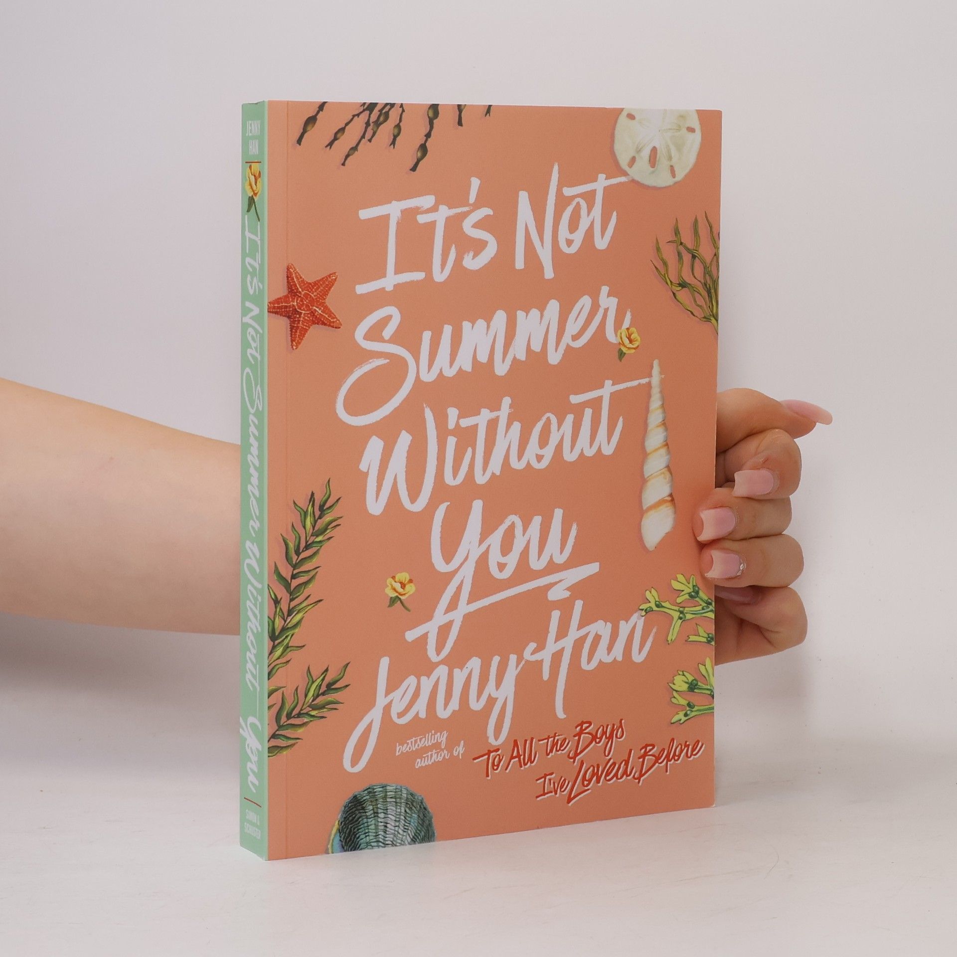 Jenny Han It's Not Summer Without You