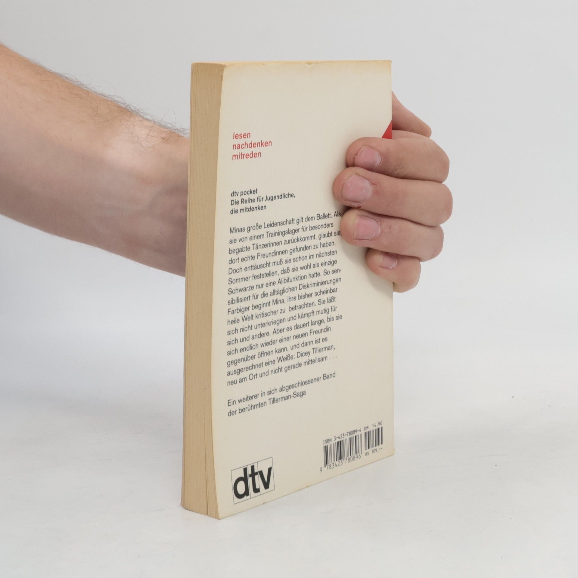 Cynthia Voigt Mina, Dicey Tillermans Freundin