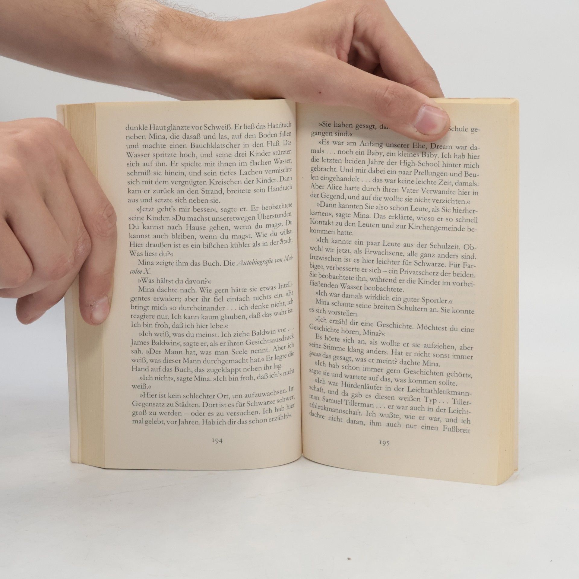 Cynthia Voigt Mina, Dicey Tillermans Freundin
