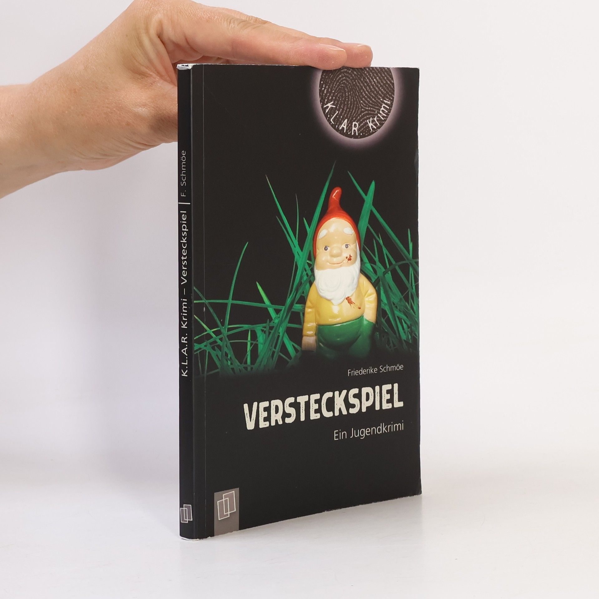 Friederike Schmöe Versteckspiel