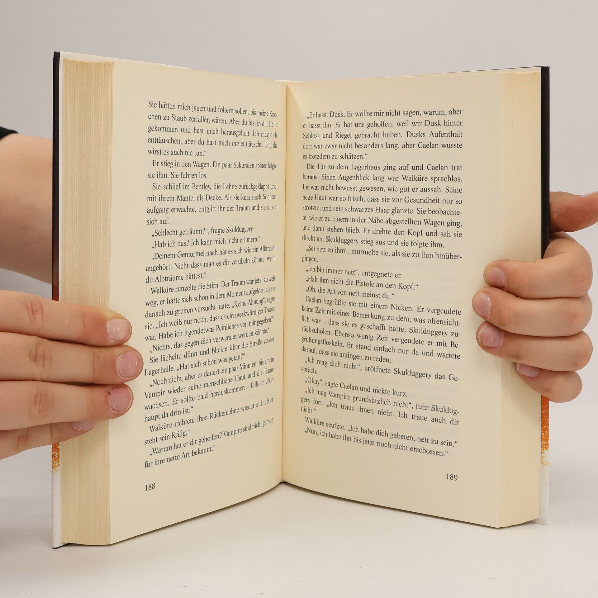 Derek Landy Skulduggery Pleasant. Sabotage im Sanktuarium 4