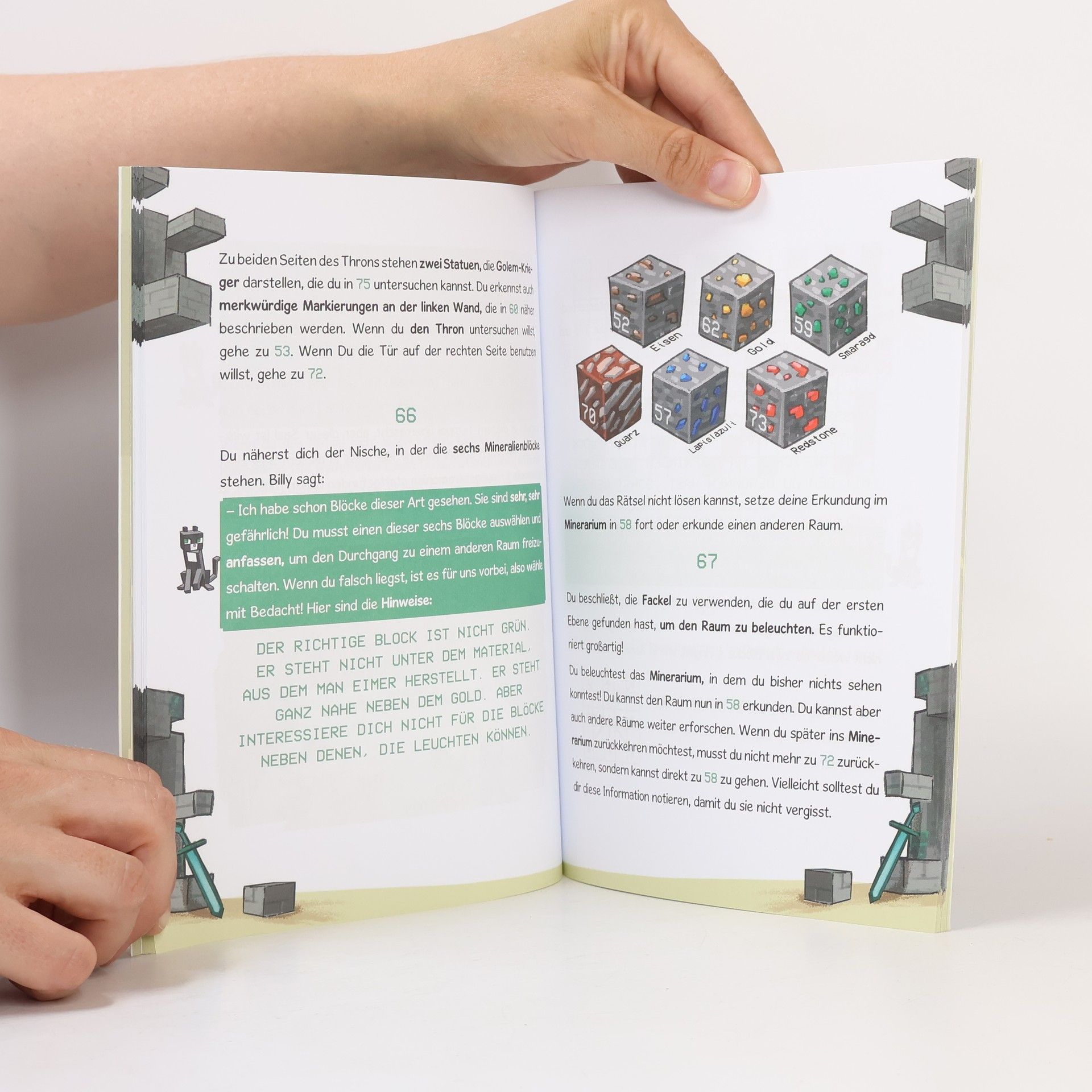Autorenkollektiv scape Book - Tagebuch eines Noobs: Der verfluchte Mega-Tempel
