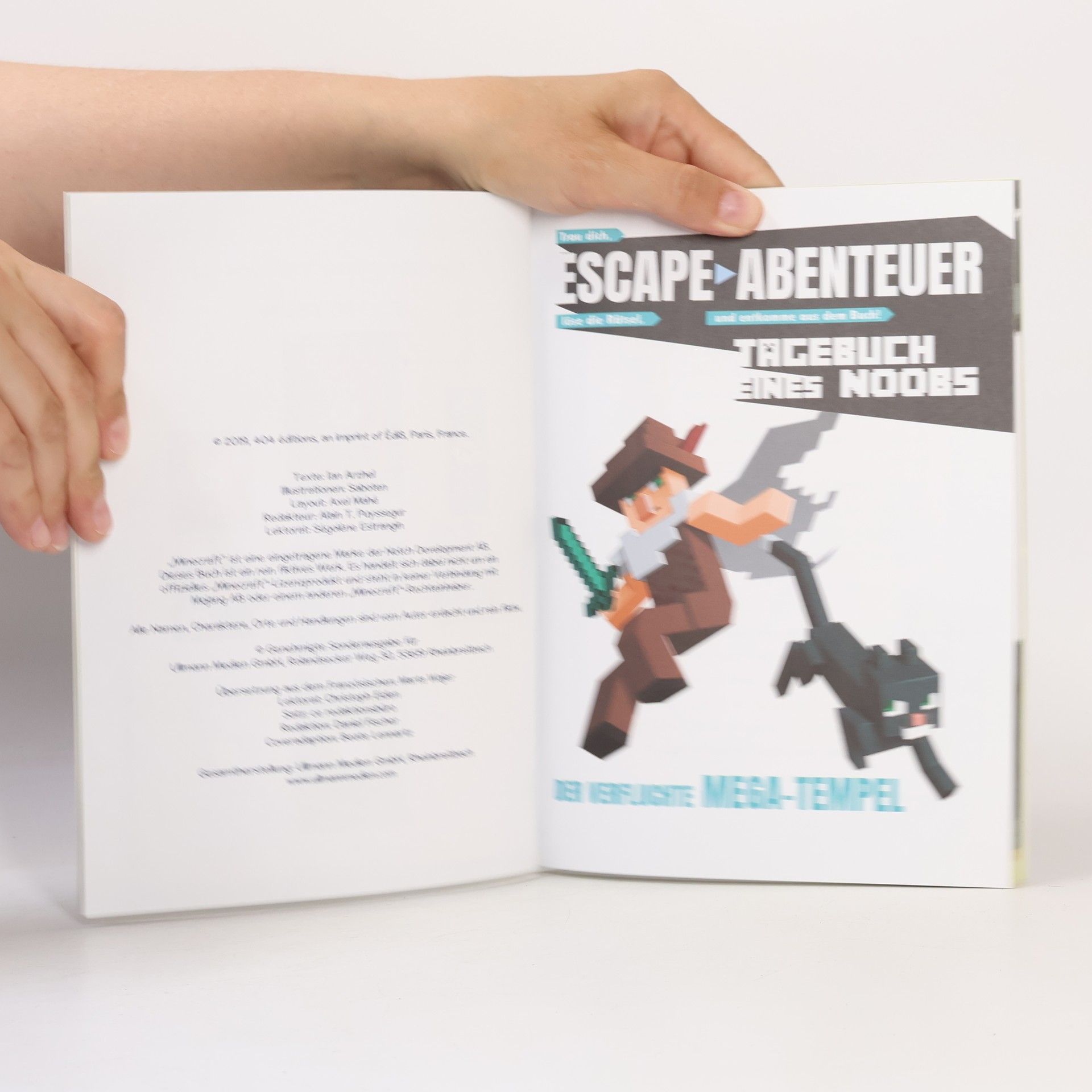 Autorenkollektiv scape Book - Tagebuch eines Noobs: Der verfluchte Mega-Tempel