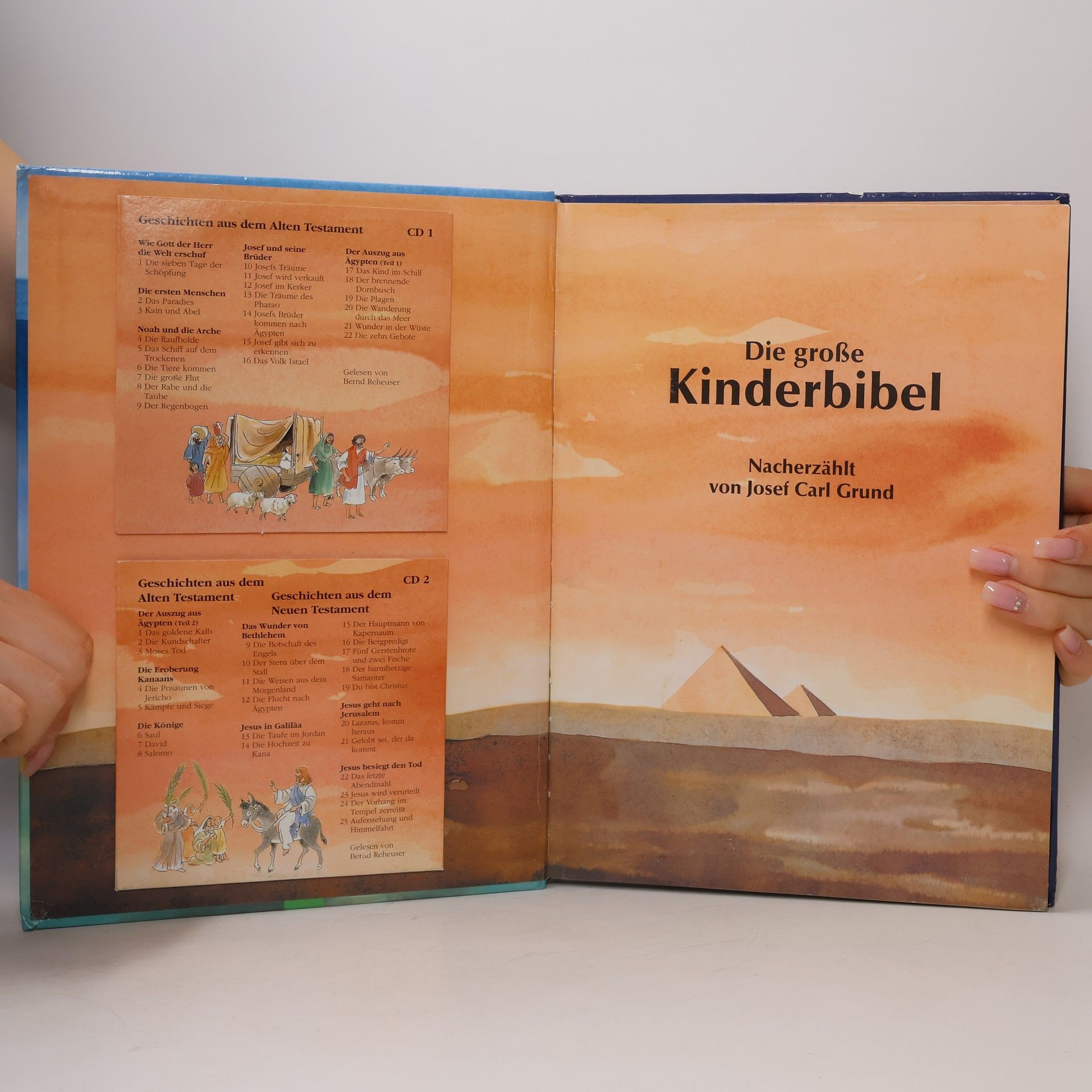 Various authors Die große Kinderbibel