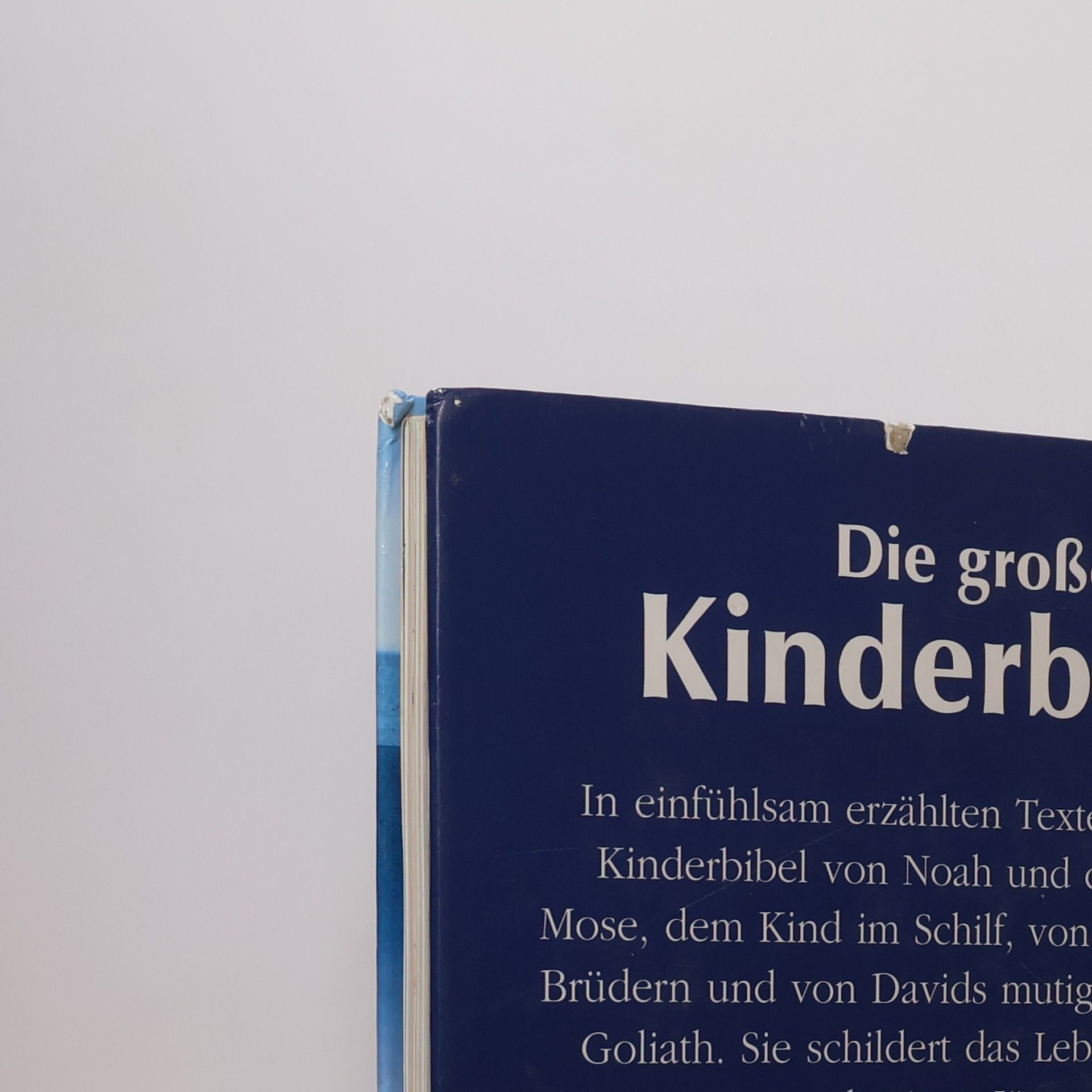 Various authors Die große Kinderbibel
