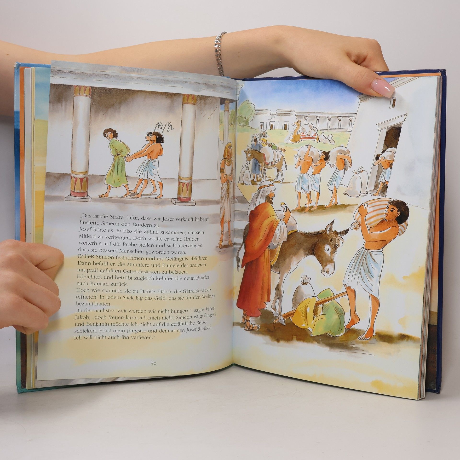 Various authors Die große Kinderbibel