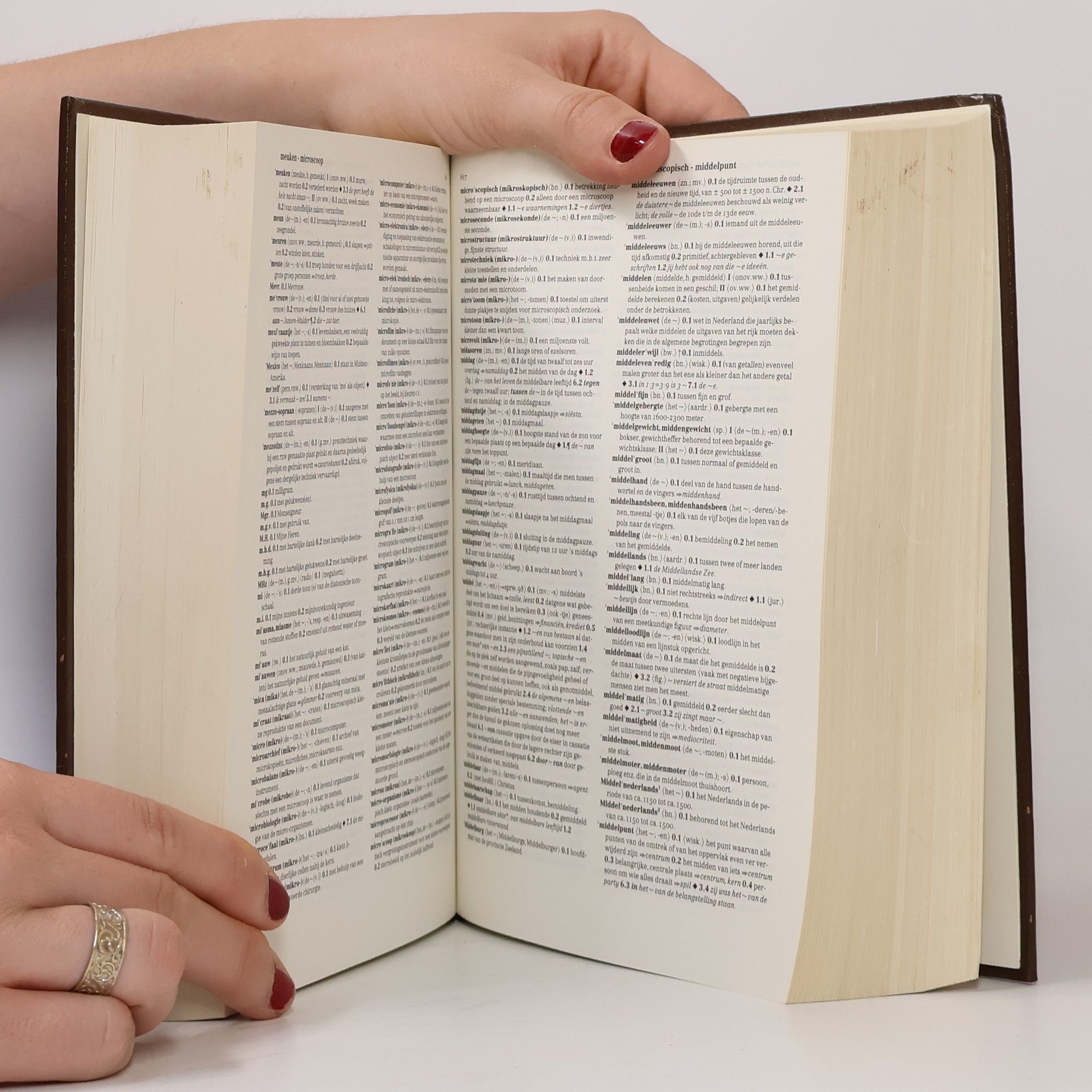 M. Hannay Van Dale handwoordenboek Nederlands-Engels/Engels-Nederlands
