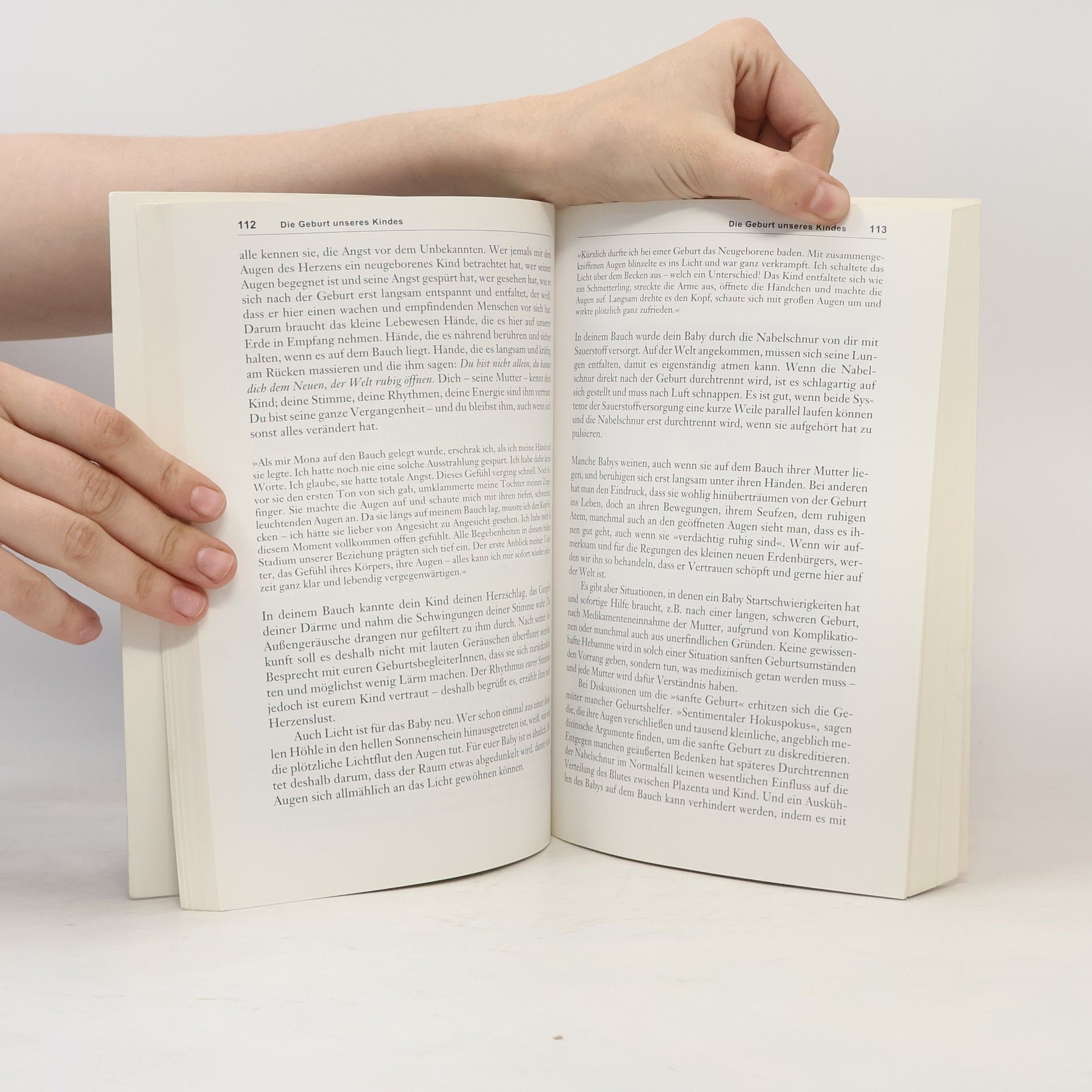Hanny Lothrop Das Stillbuch