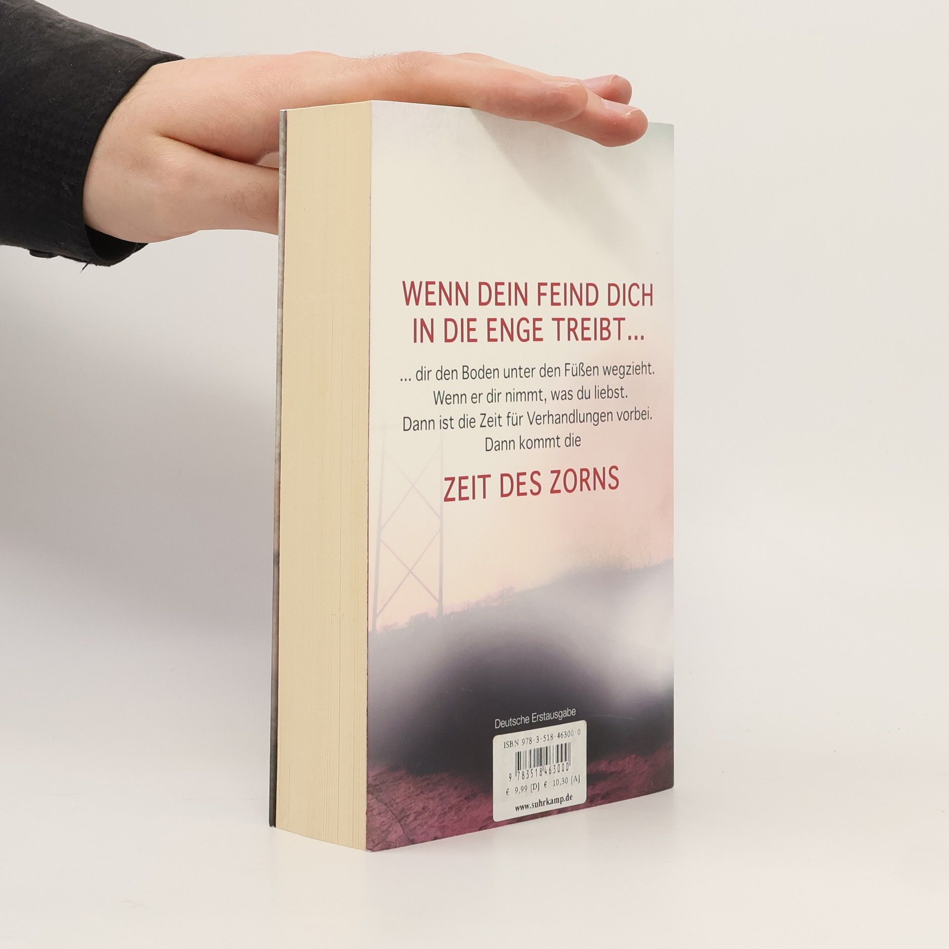 Don Winslow Zeit des Zorns