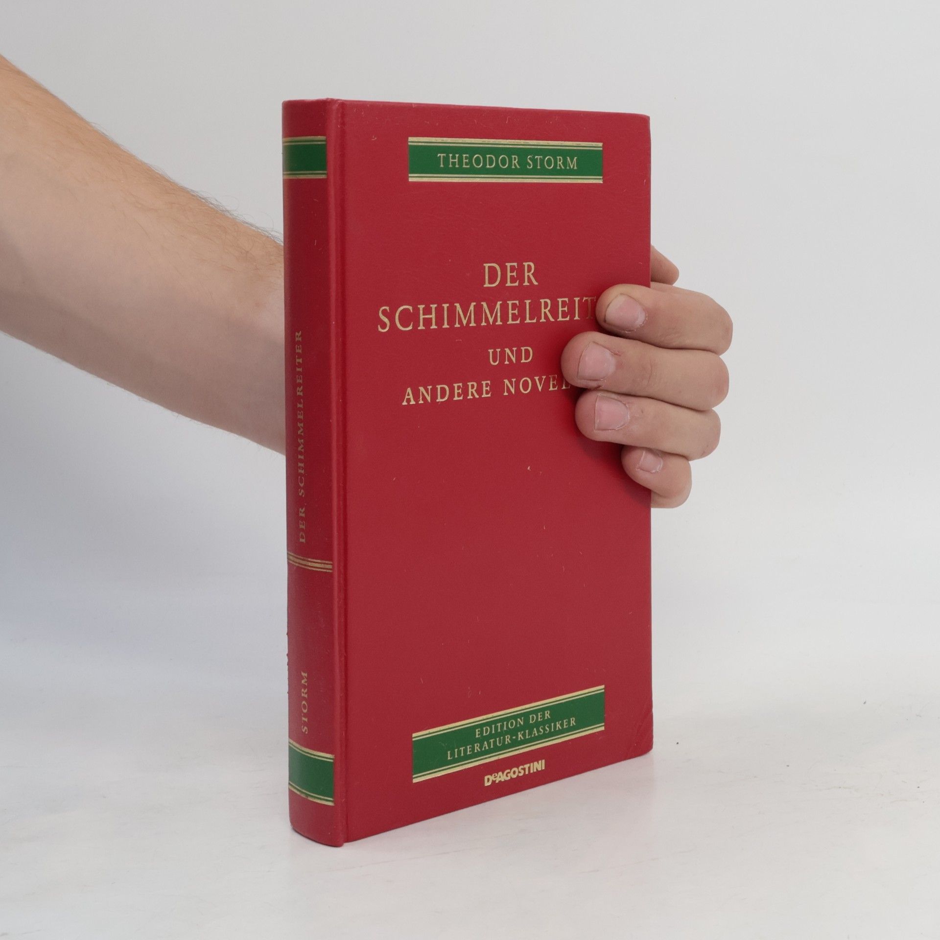 Hans Theodor Woldsen Storm Der Schimmelreiter und andere Novellen