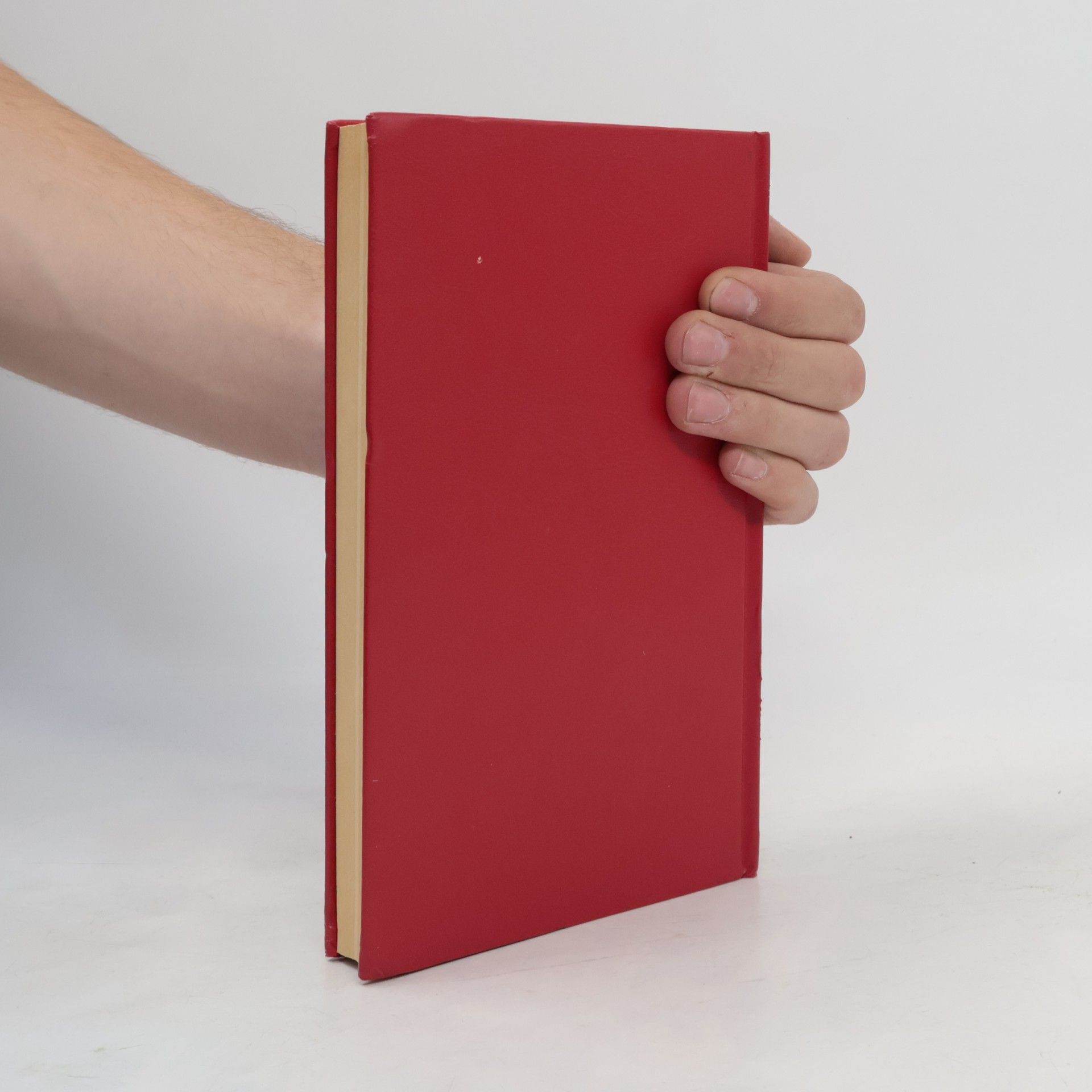 Hans Theodor Woldsen Storm Der Schimmelreiter und andere Novellen