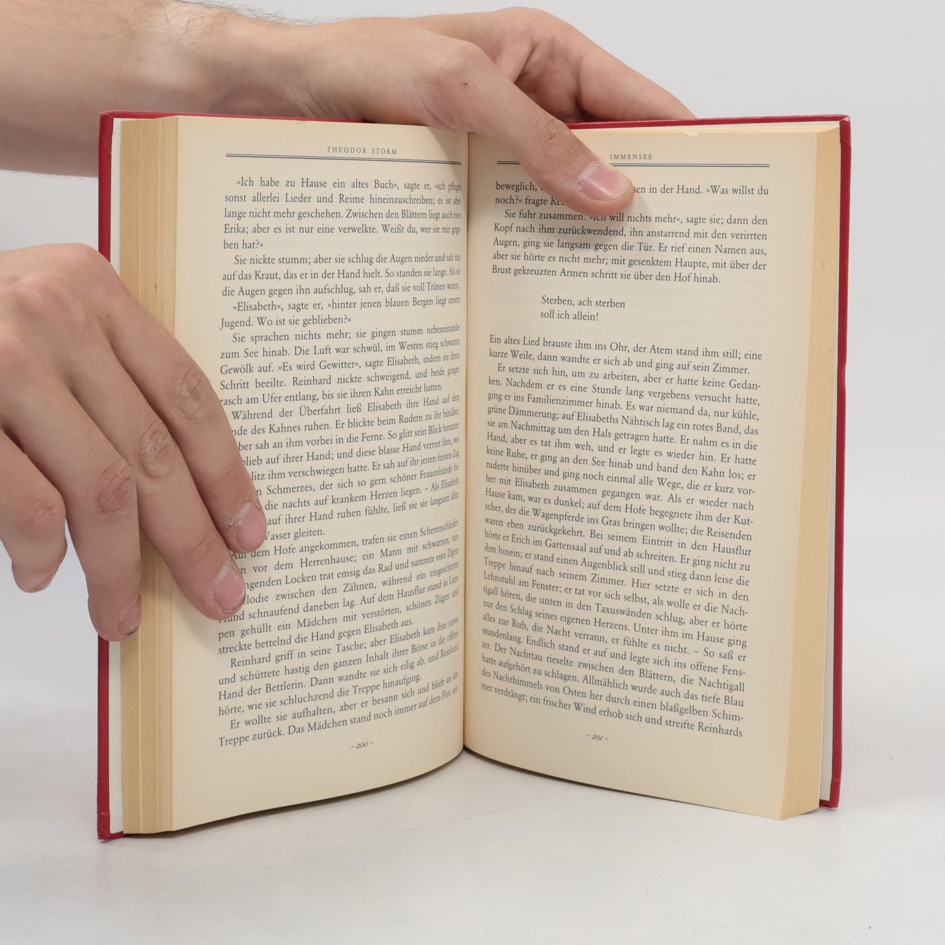 Hans Theodor Woldsen Storm Der Schimmelreiter und andere Novellen