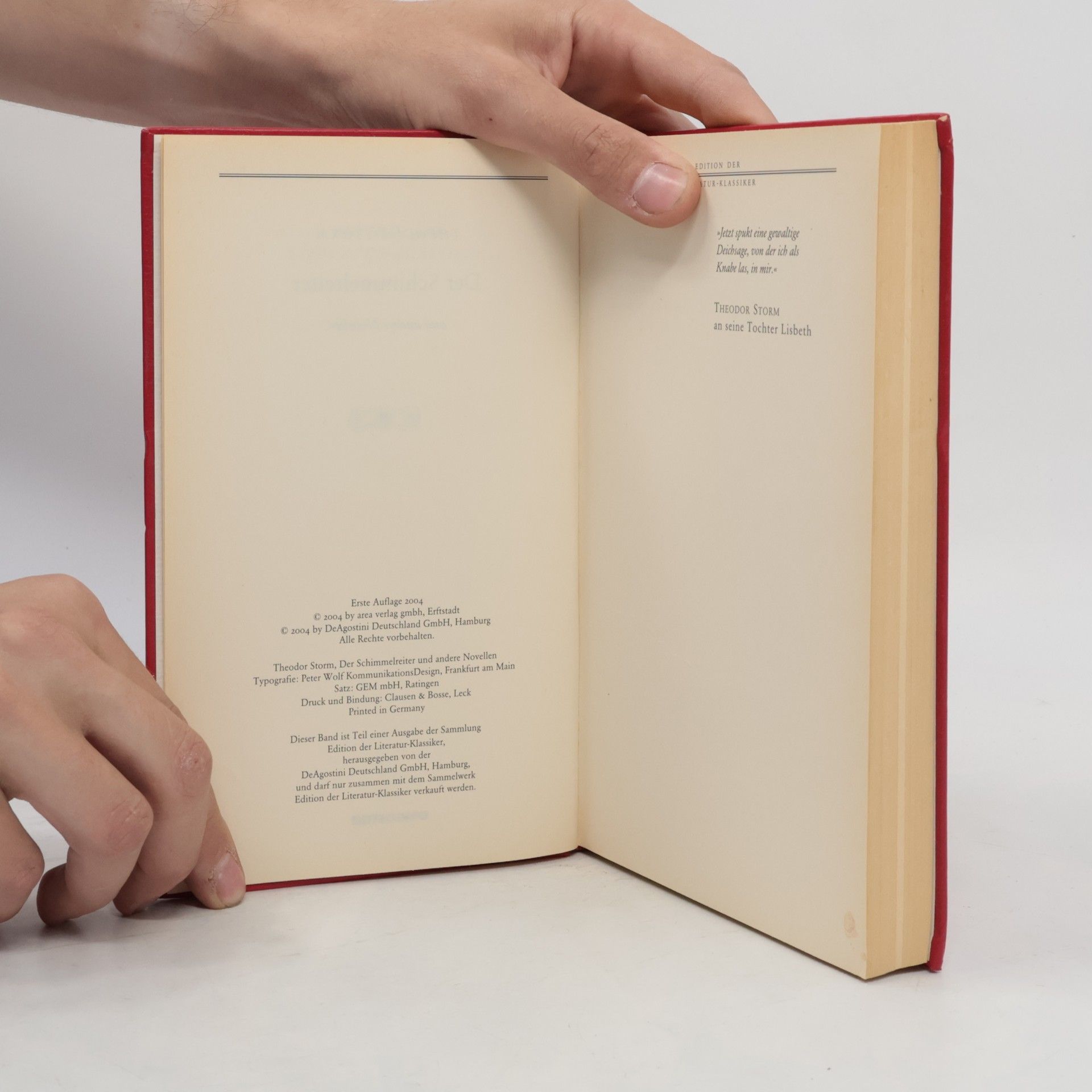 Hans Theodor Woldsen Storm Der Schimmelreiter und andere Novellen