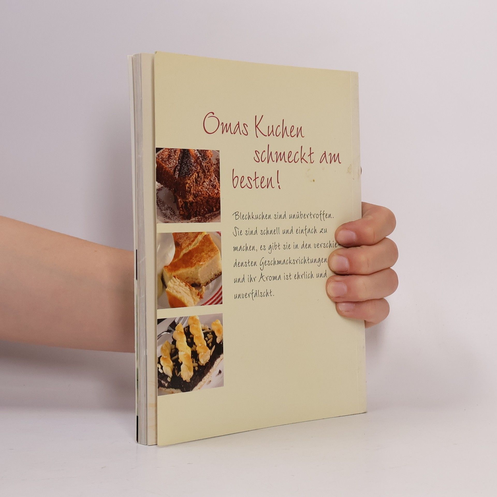 Autorenkollektiv Kleine Blechkuchen