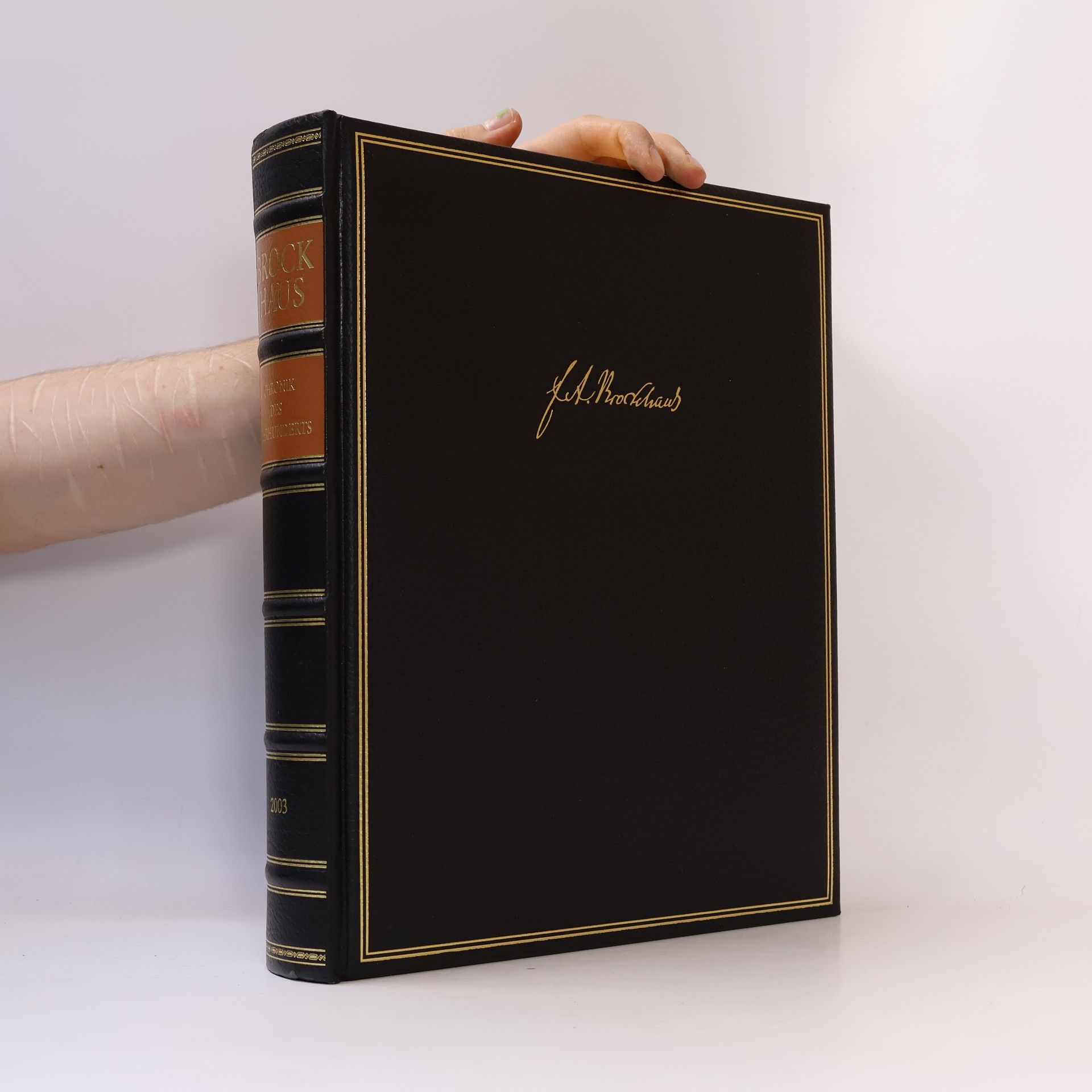 Auteurscollectief Brockhaus - Chronik des Jahrhunderts