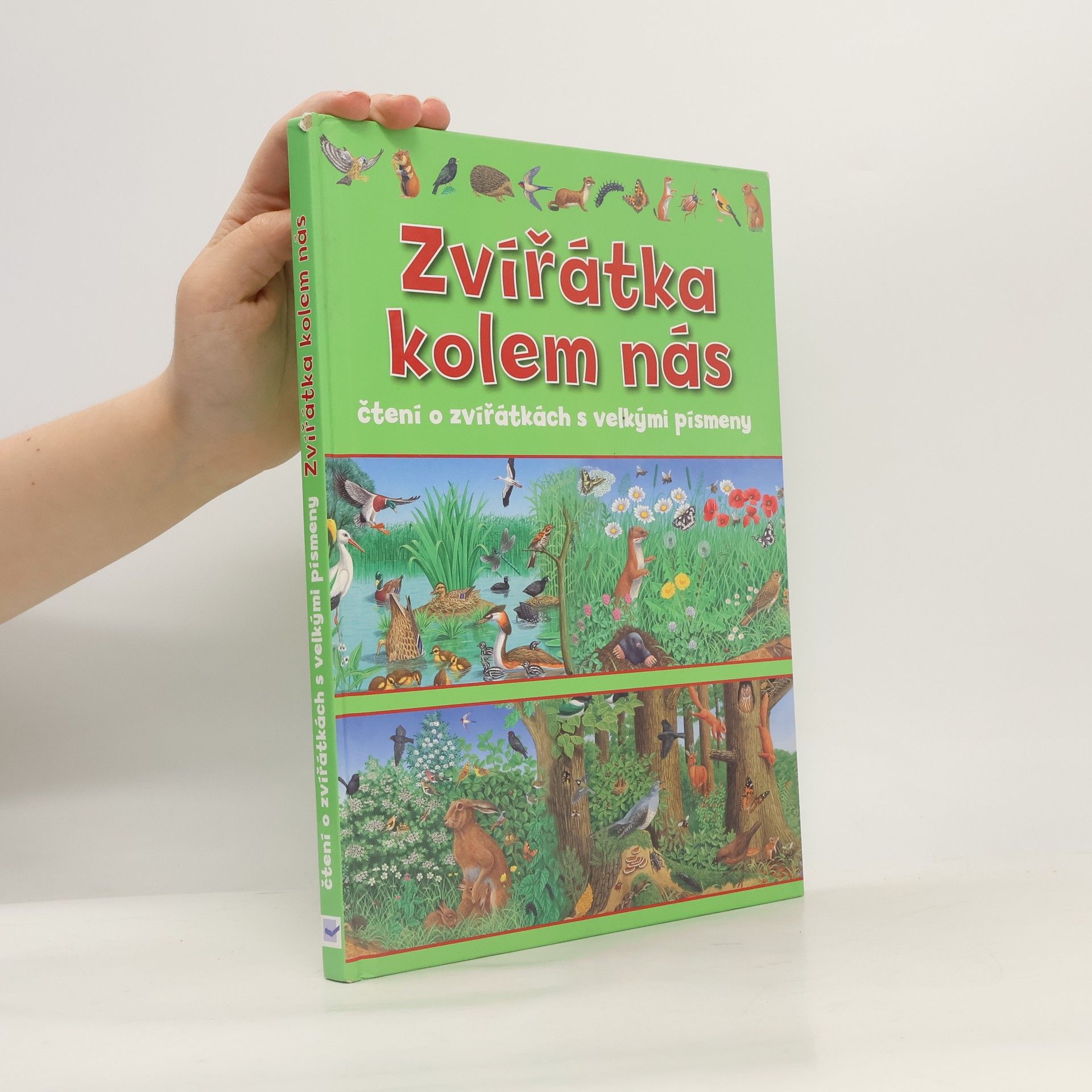 Collectif d'auteurs Zvířátka kolem nás : čtení o zvířátkách s velkými písmeny