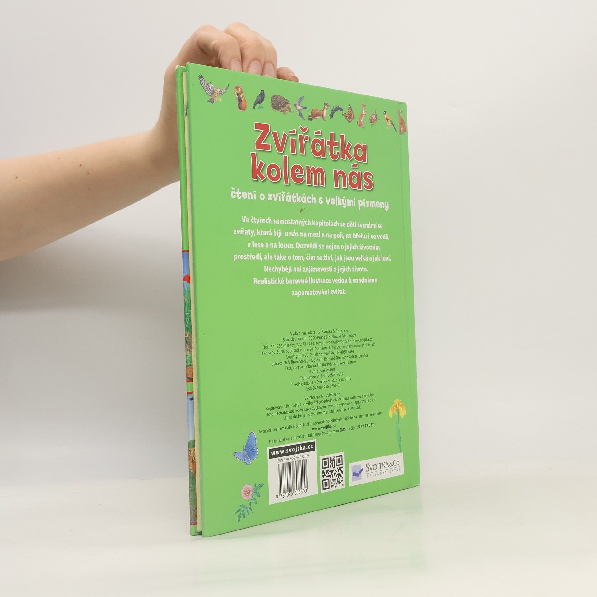 Autorenkollektiv Zvířátka kolem nás : čtení o zvířátkách s velkými písmeny