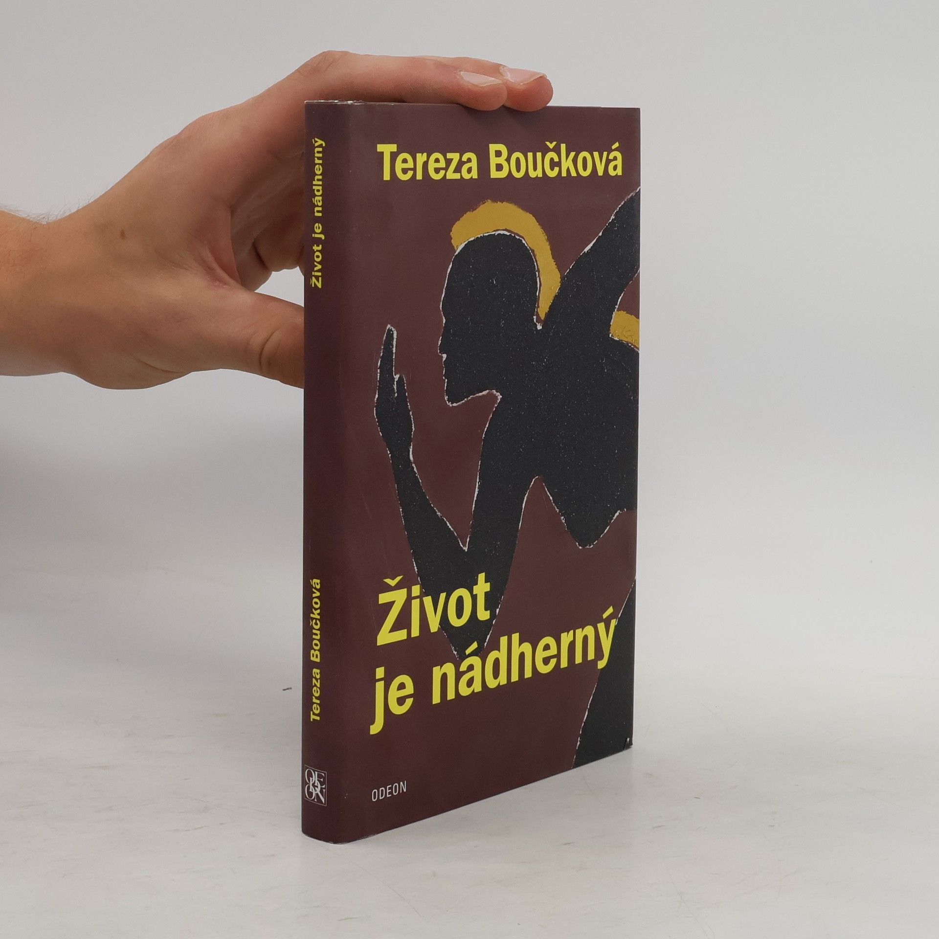 Tereza Boučková Život je nádherný