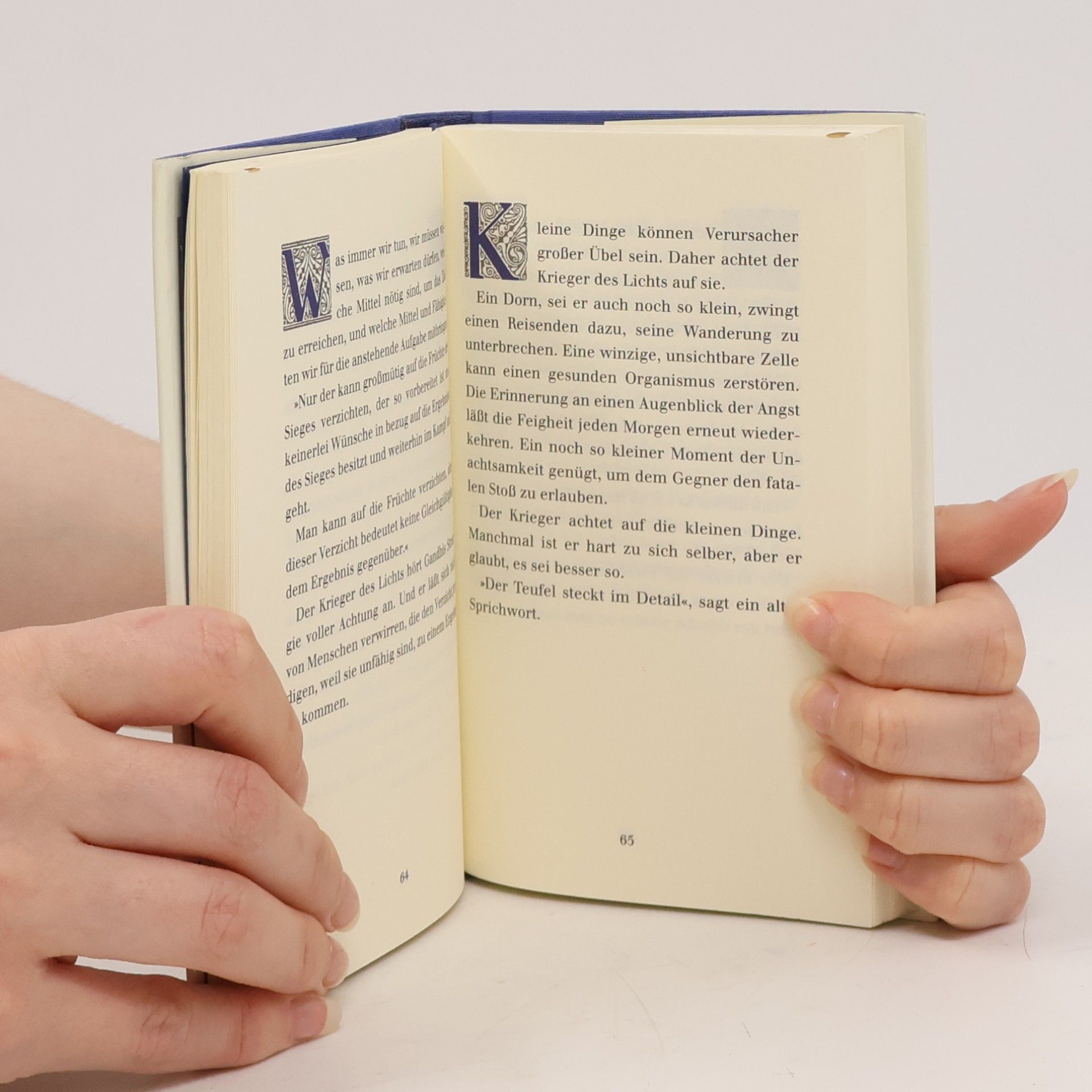 Paulo Coelho Handbuch des Kriegers des Lichts