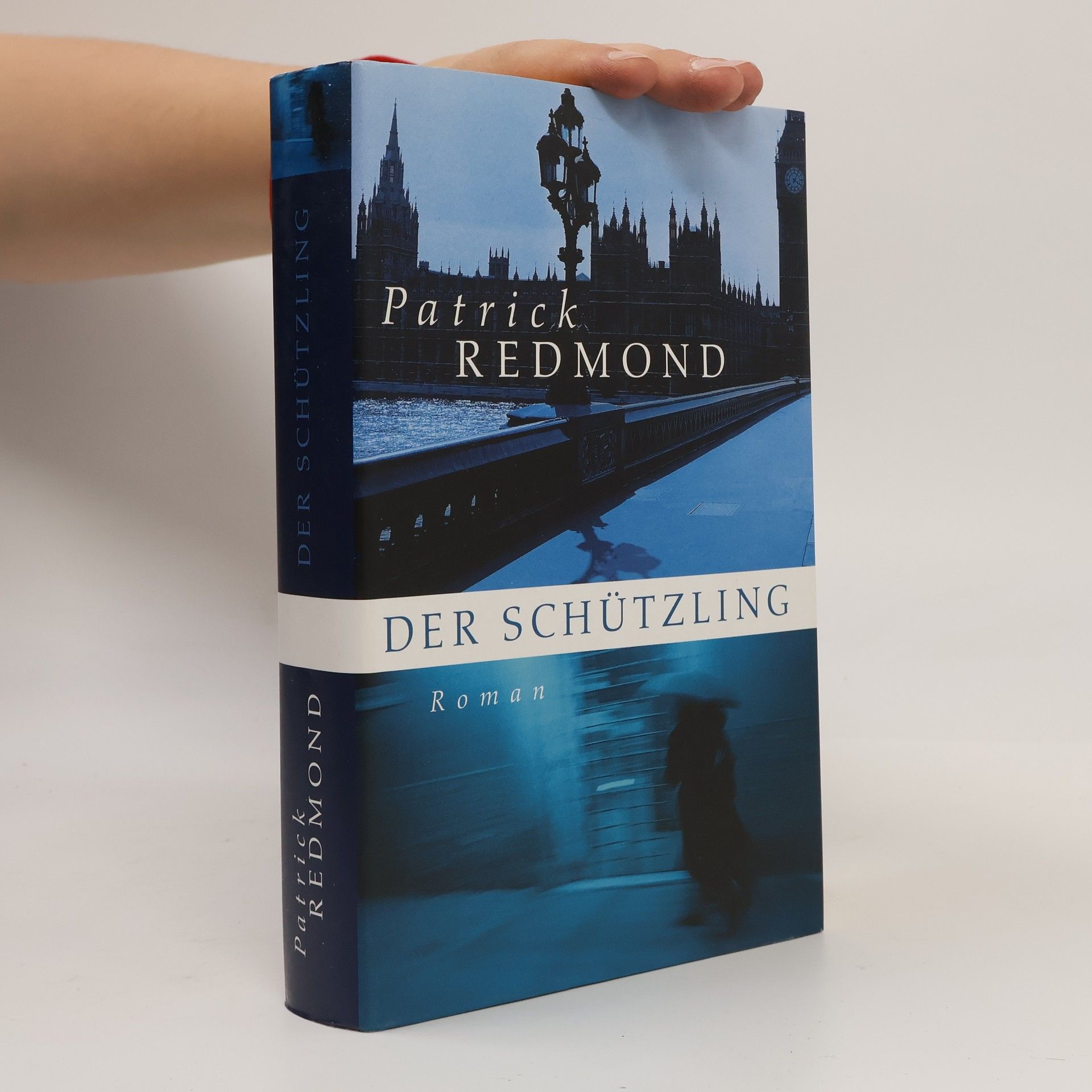 Patrick Redmond Der Schützling