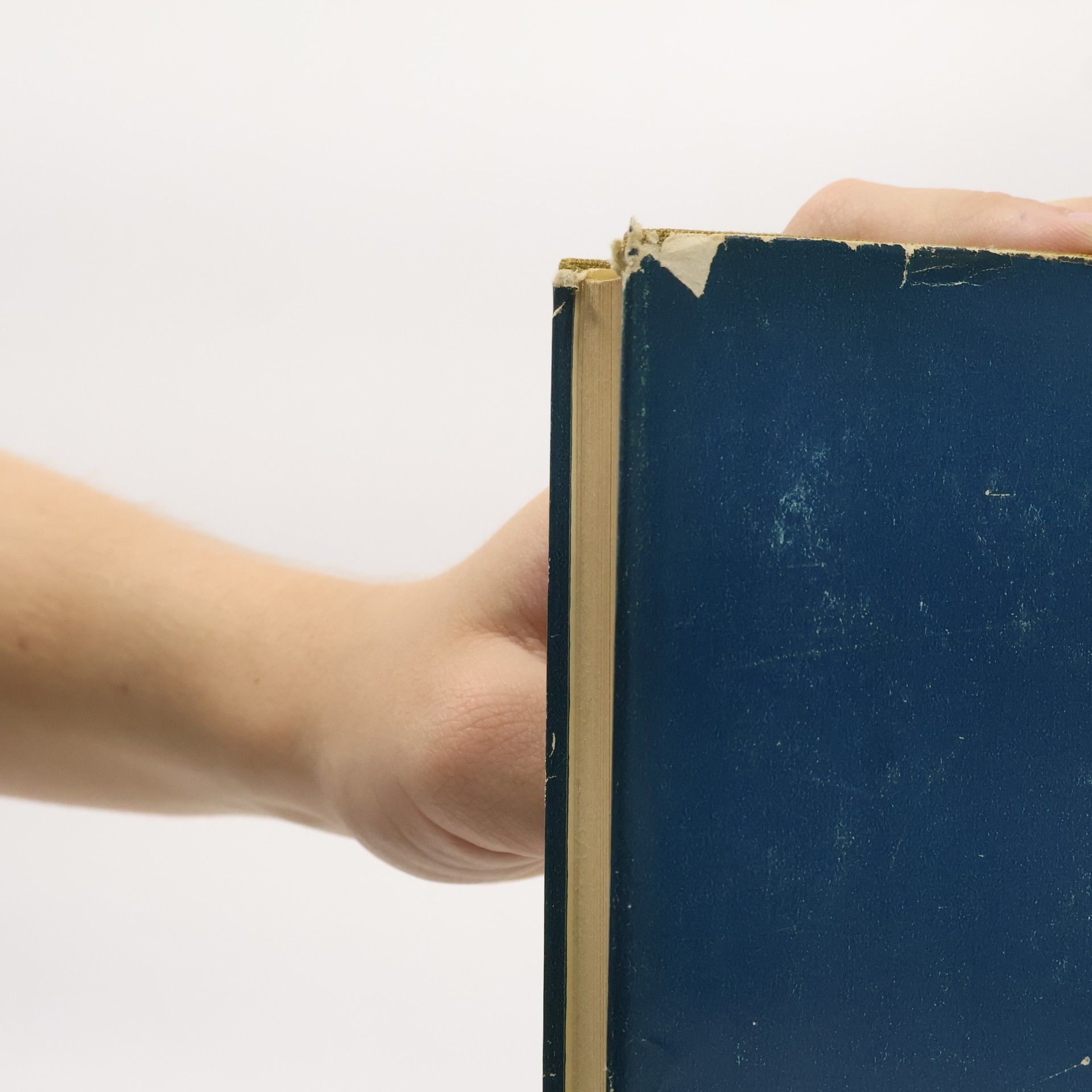 Victor Hugo Die Arbeiter des Meeres