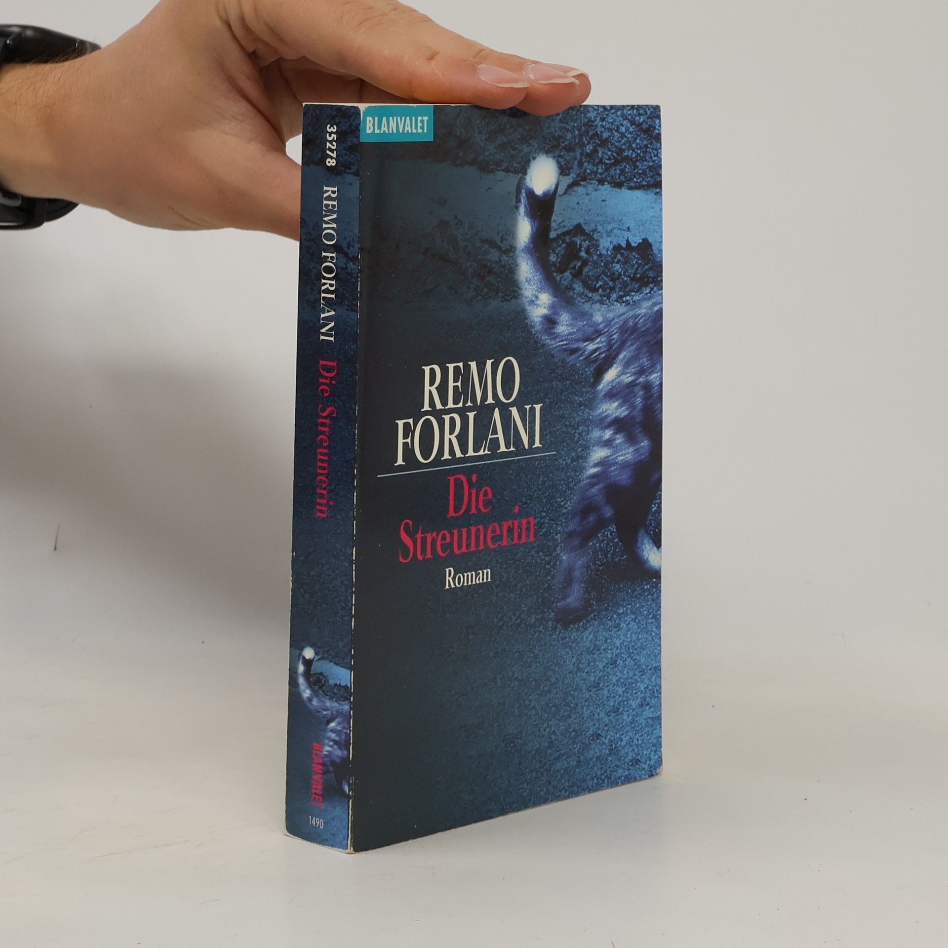 Remo Forlani Die Streunerin