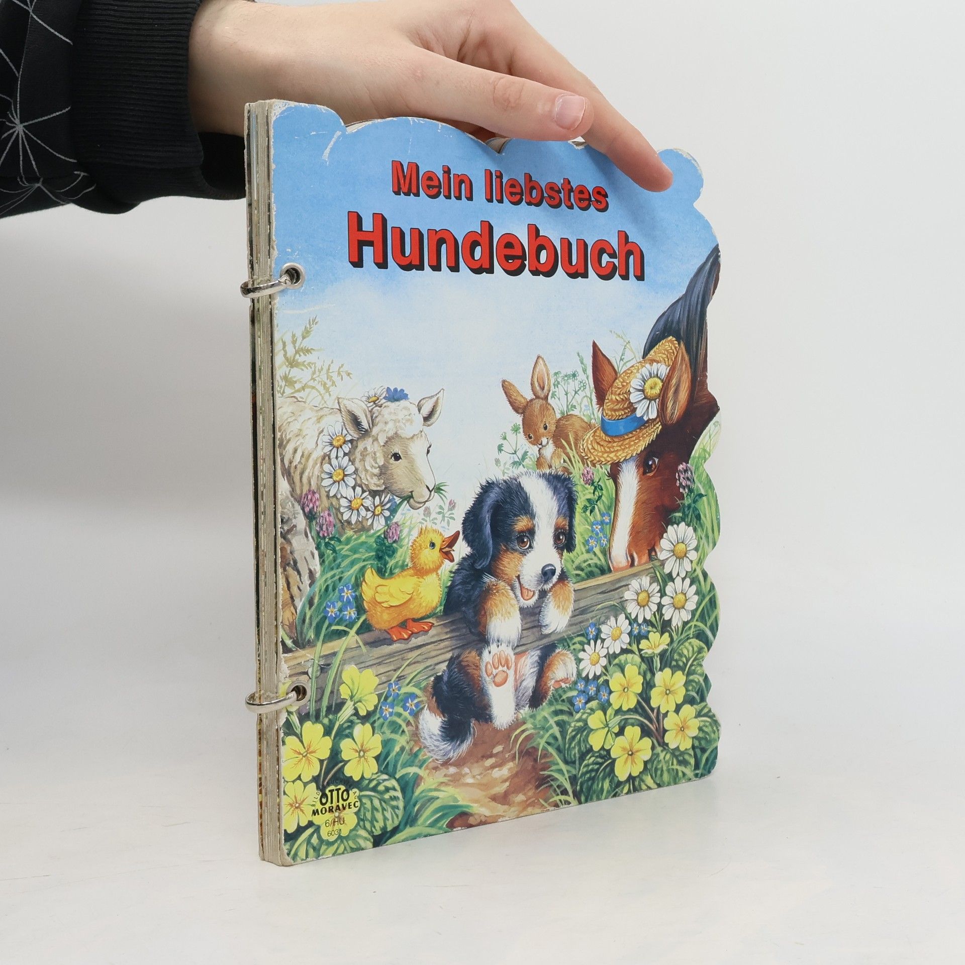 Autorenkollektiv Mein liebstes Hundebuch