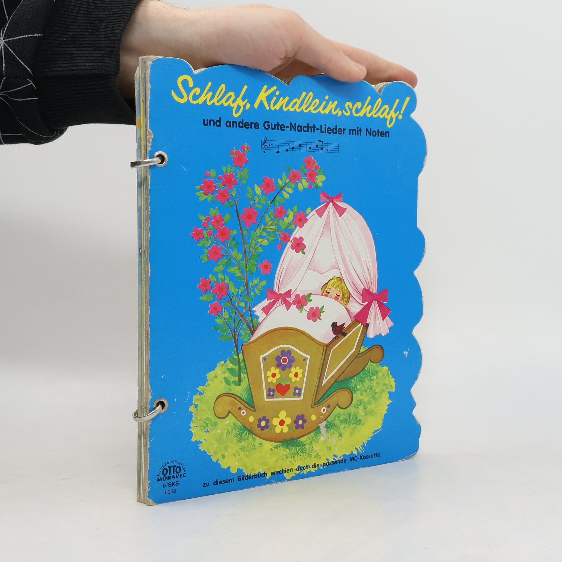 Autorenkollektiv Schlaf, Kindlein, schlaf!