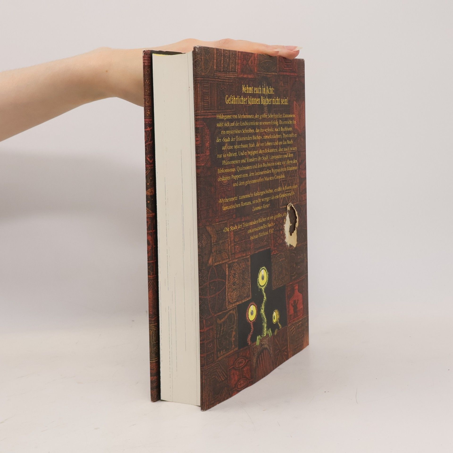 Walter Moers Das Labyrinth der Träumenden Bücher