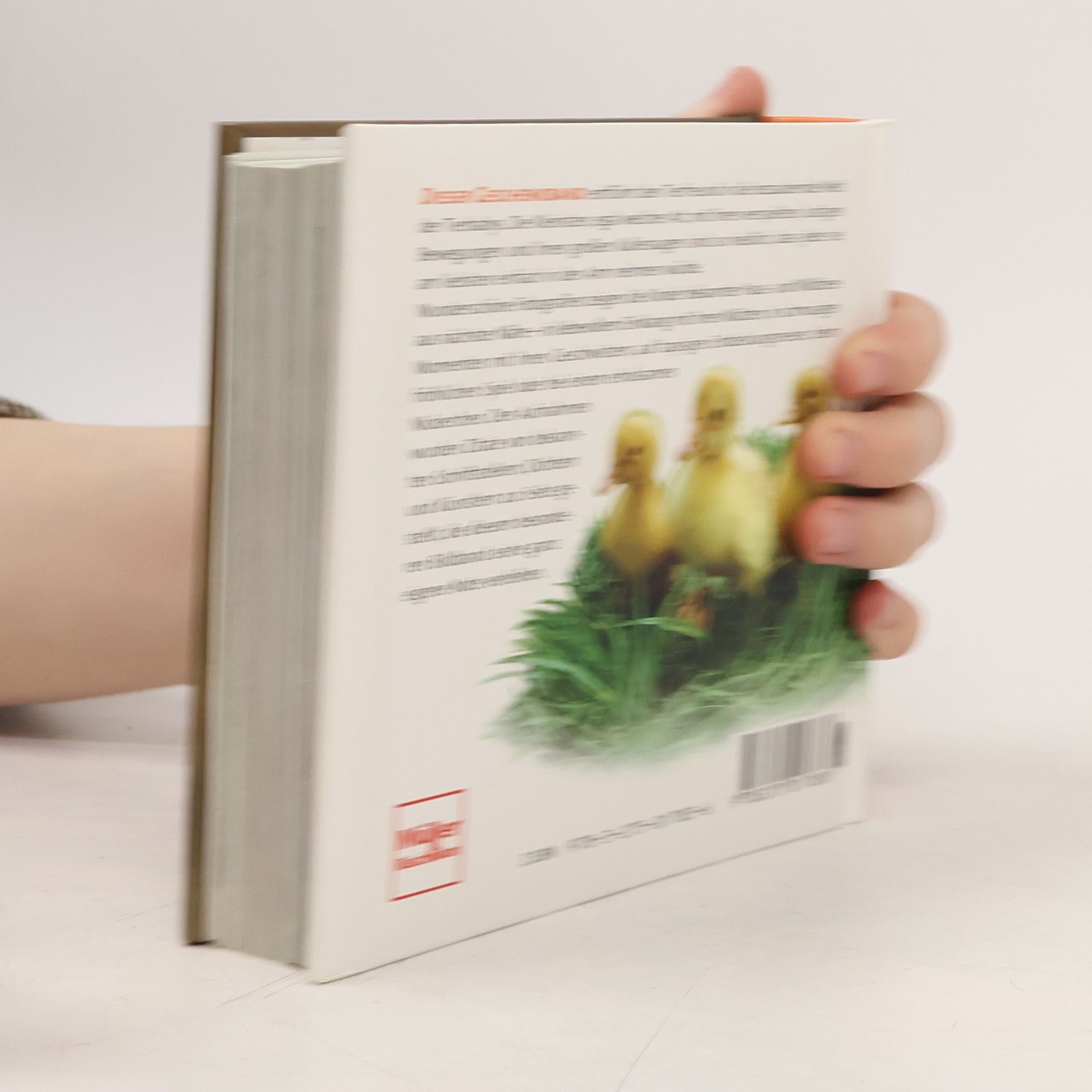 Daniela Capparotto Liebenswerte Tierkinder
