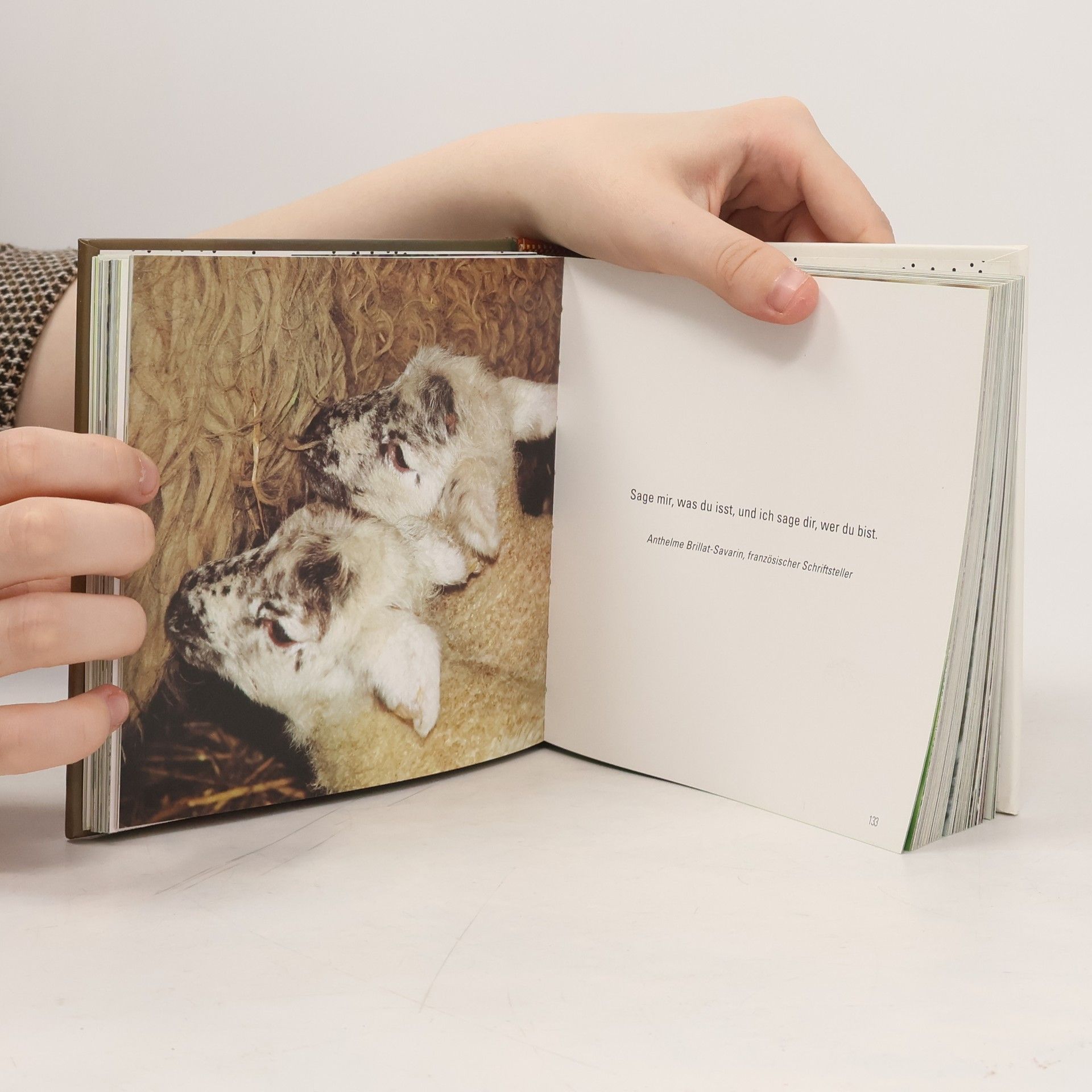 Daniela Capparotto Liebenswerte Tierkinder