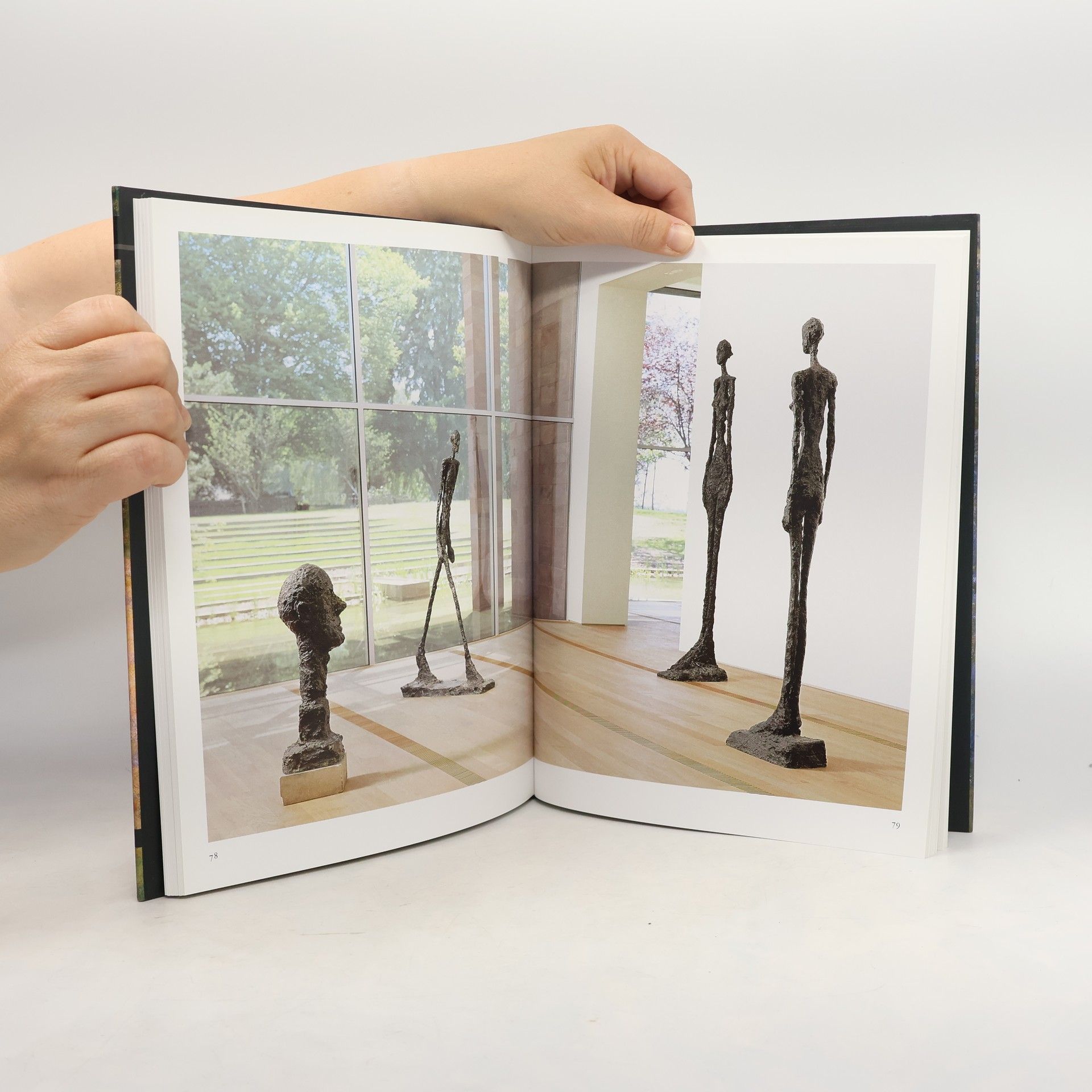 Fondation Beyeler Fondation Beyeler, Riehen/Basel