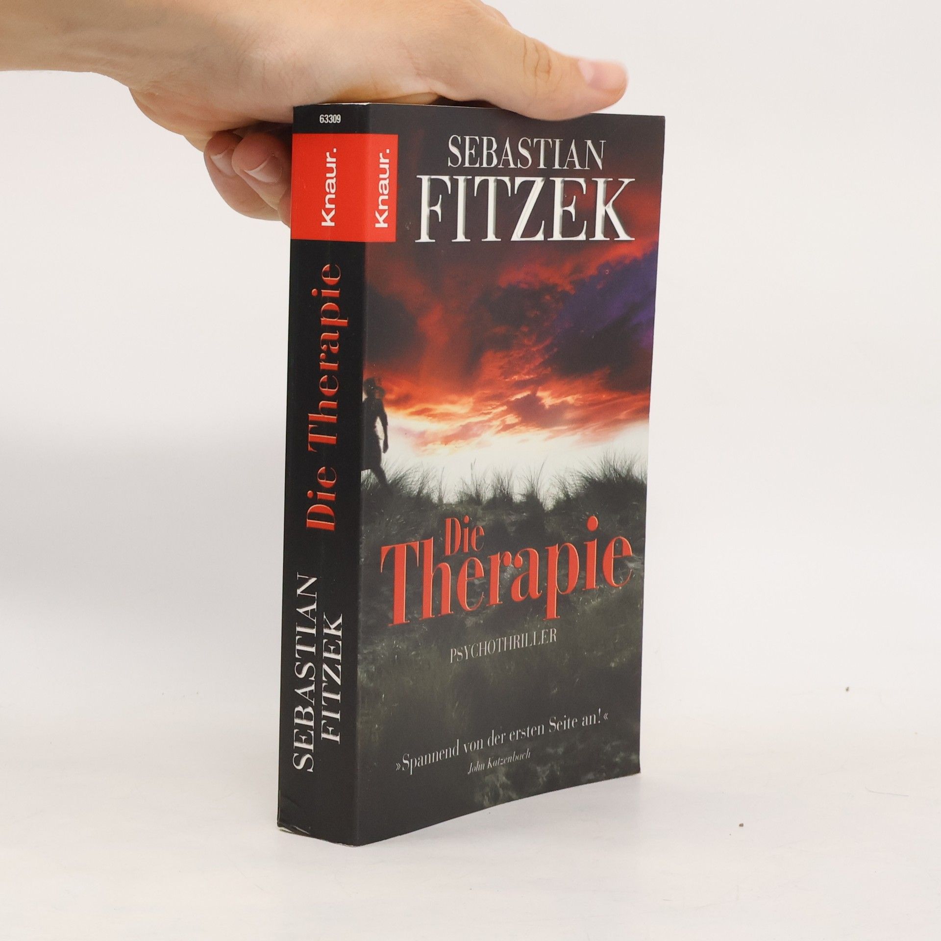 Sebastian Fitzek Die Therapie
