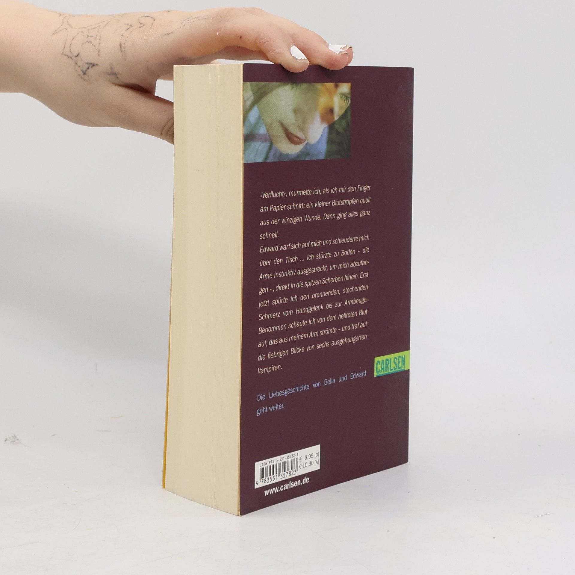 Stephenie Meyer Biss zur Mittagsstunde
