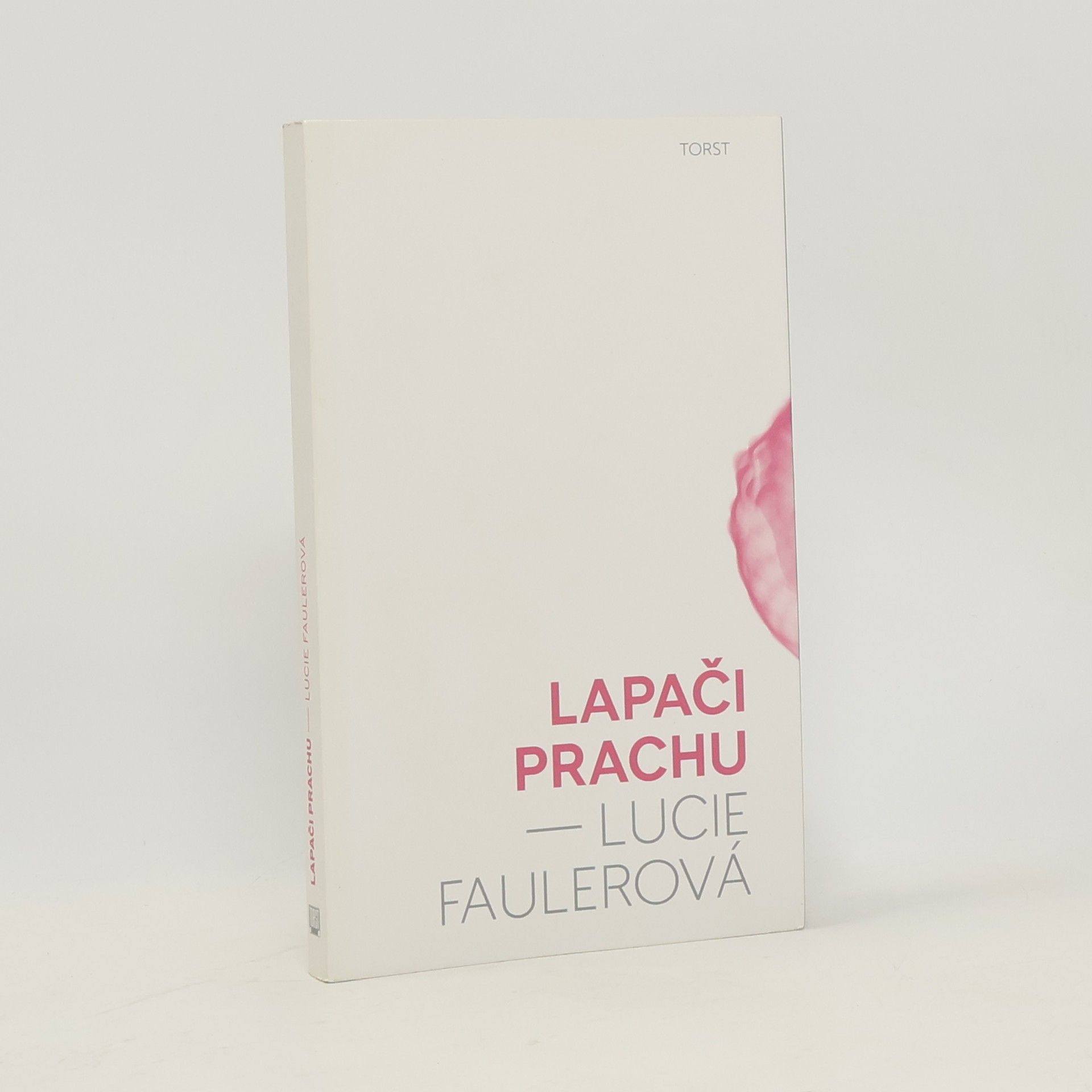 Lucie Faulerová Lapači prachu