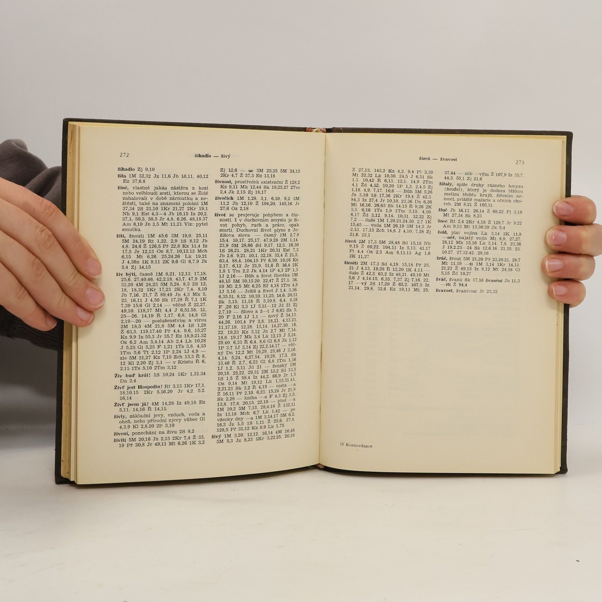 Josef Štifter Malá biblická konkordance