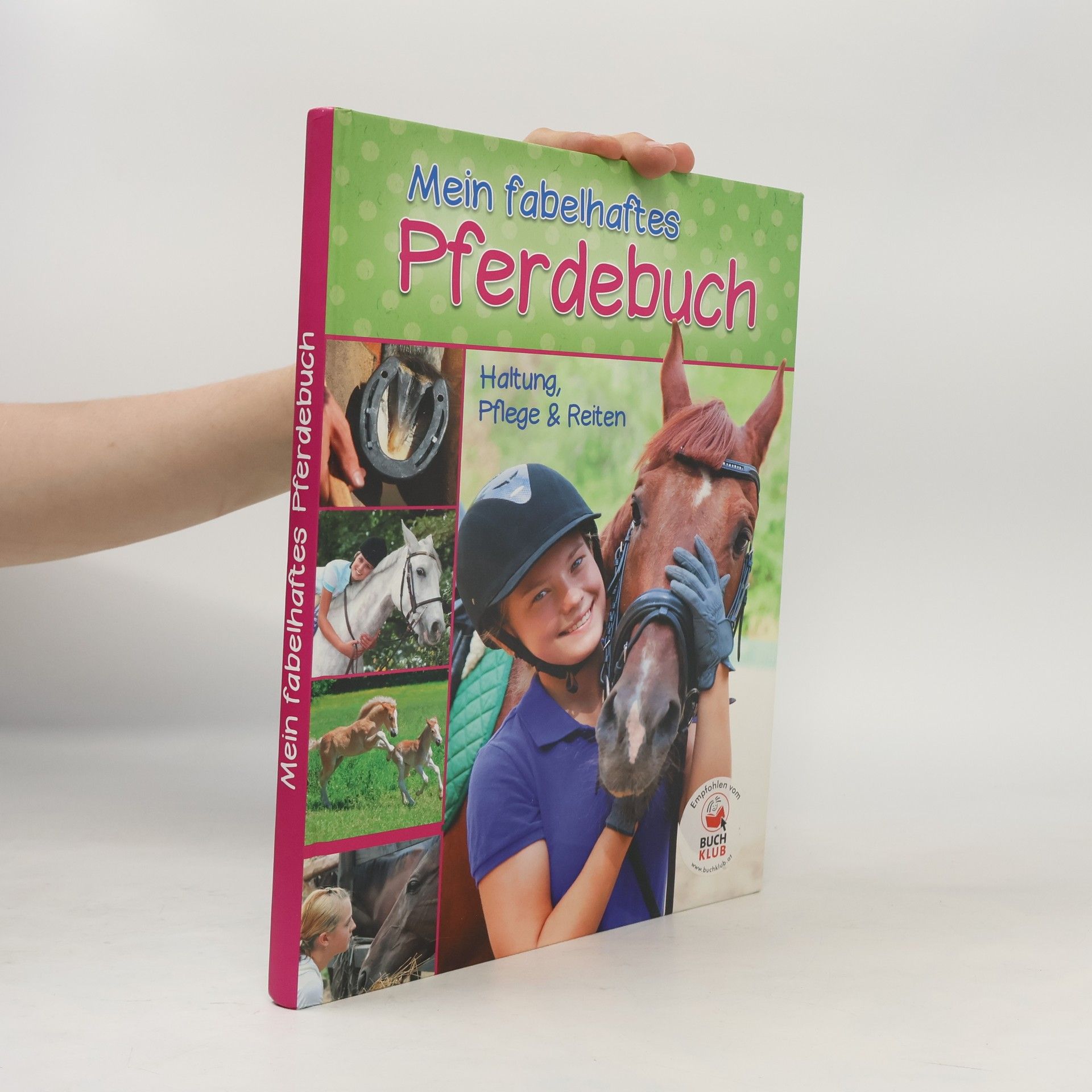 Autorenkollektiv Mein fabelhaftes Pferdebuch